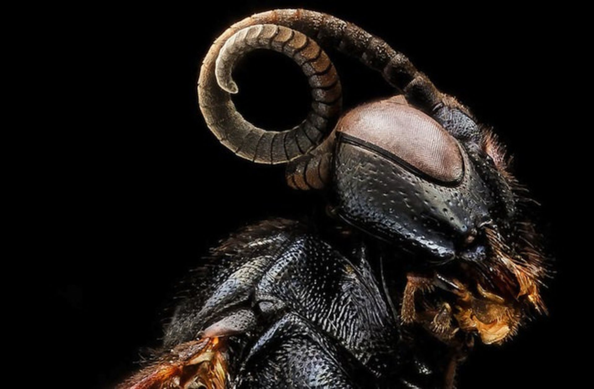 بررسی تلفن هوشمند Xperia M2 Aqua سونی