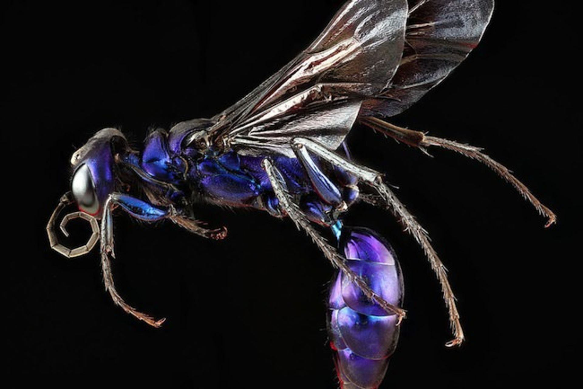 بررسی تلفن هوشمند Xperia M2 Aqua سونی