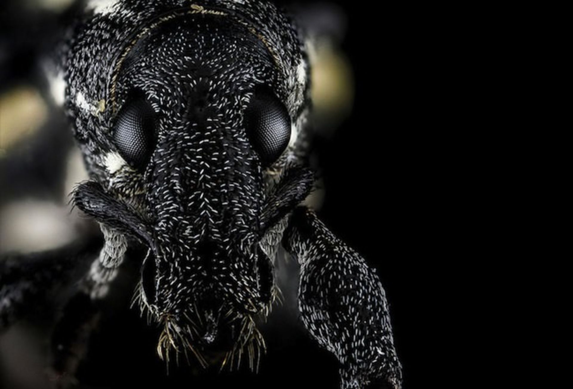 بررسی تلفن هوشمند Xperia M2 Aqua سونی