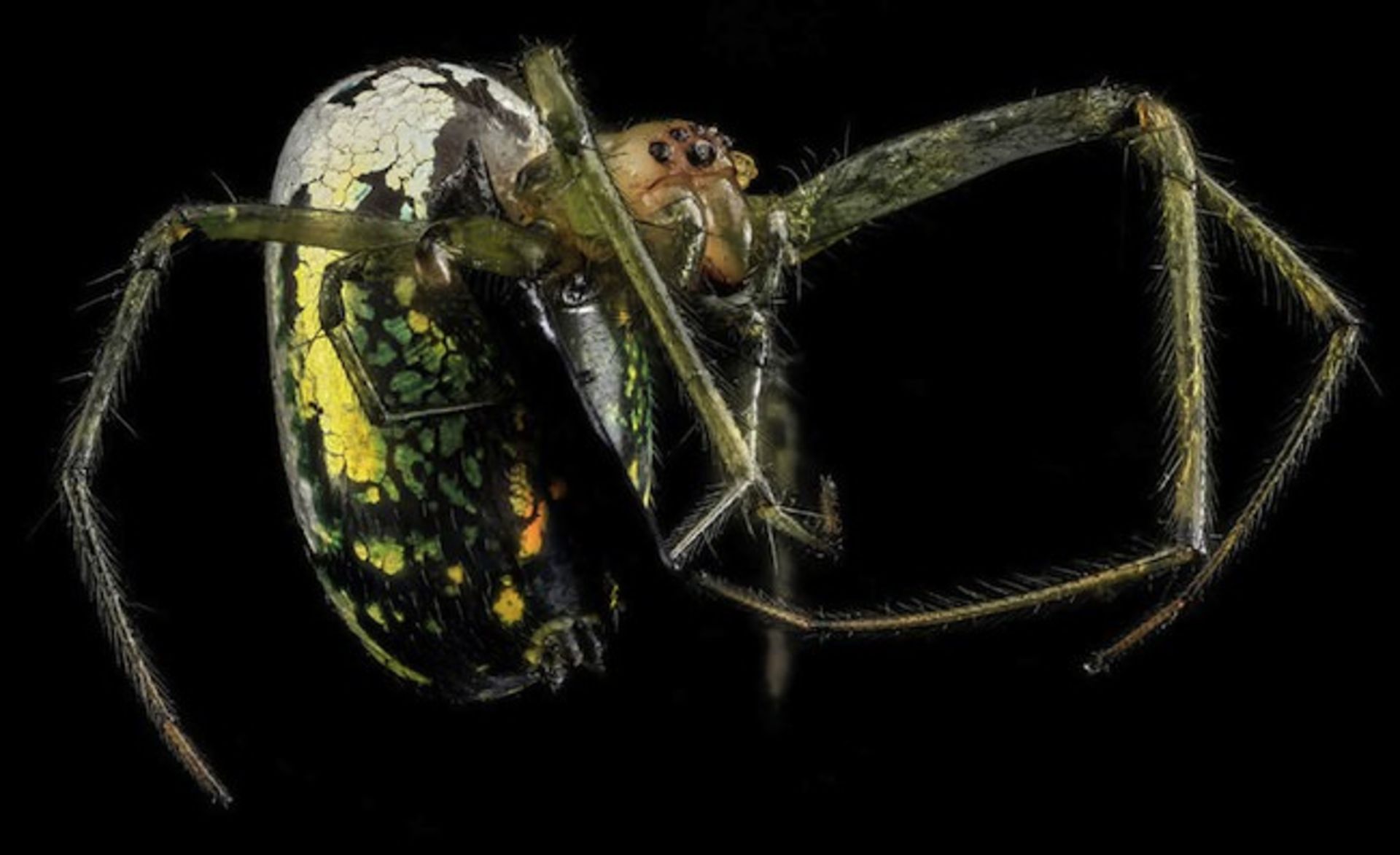 بررسی تلفن هوشمند Xperia M2 Aqua سونی