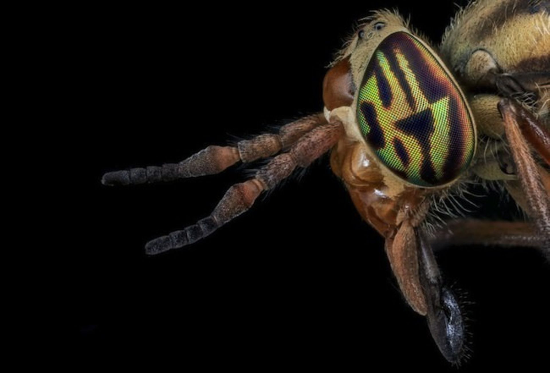 بررسی تلفن هوشمند Xperia M2 Aqua سونی