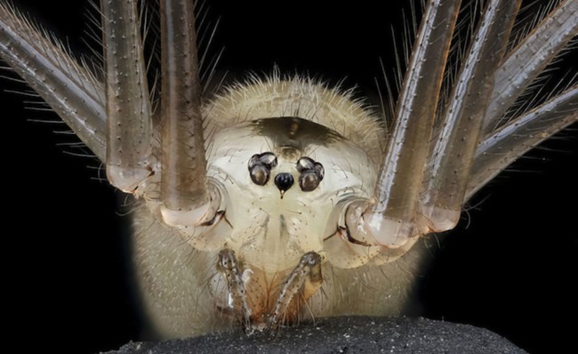 بررسی تلفن هوشمند Xperia M2 Aqua سونی