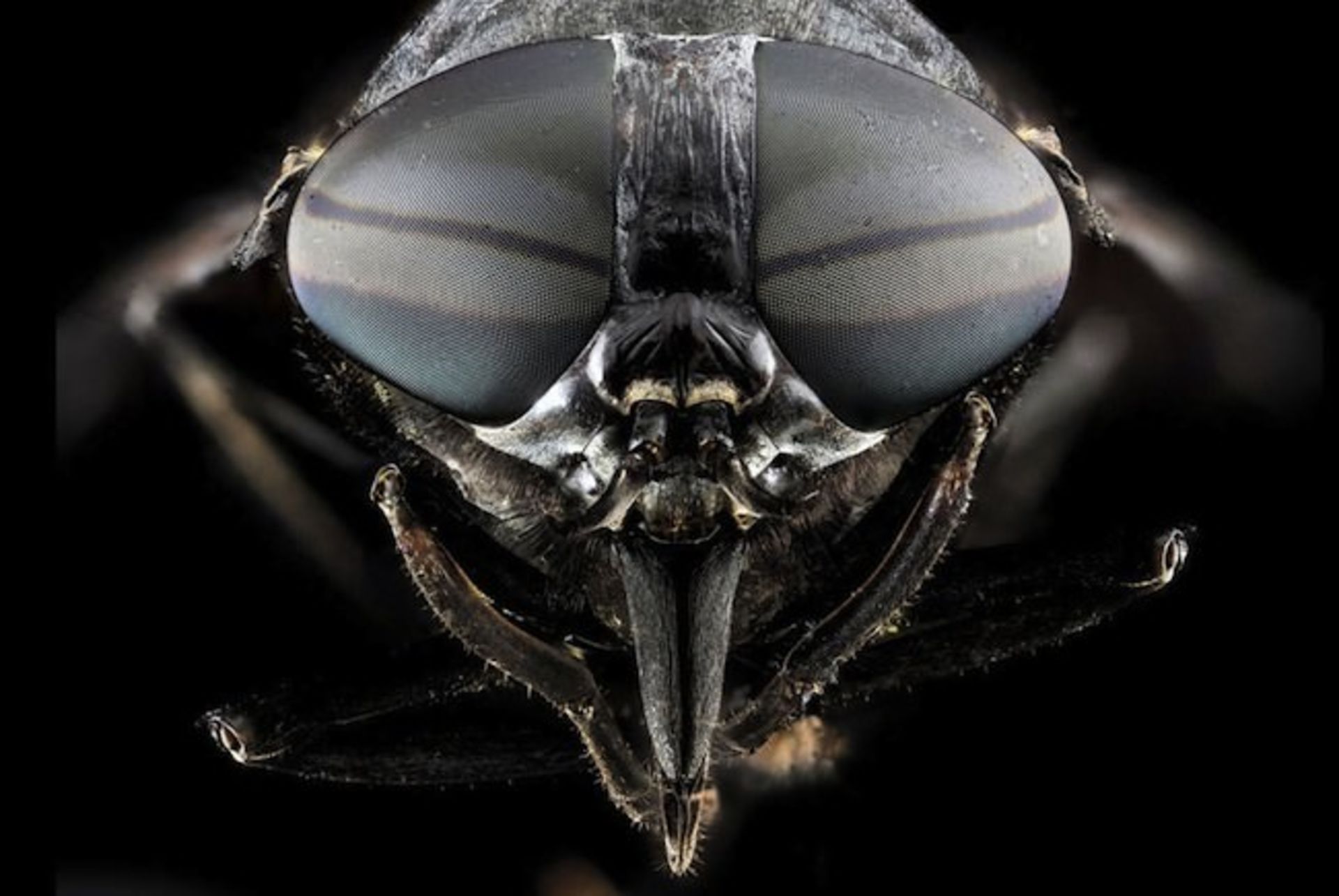 بررسی تلفن هوشمند Xperia M2 Aqua سونی