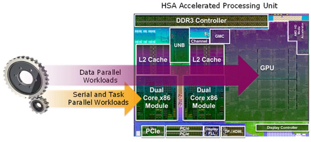 hsa-1