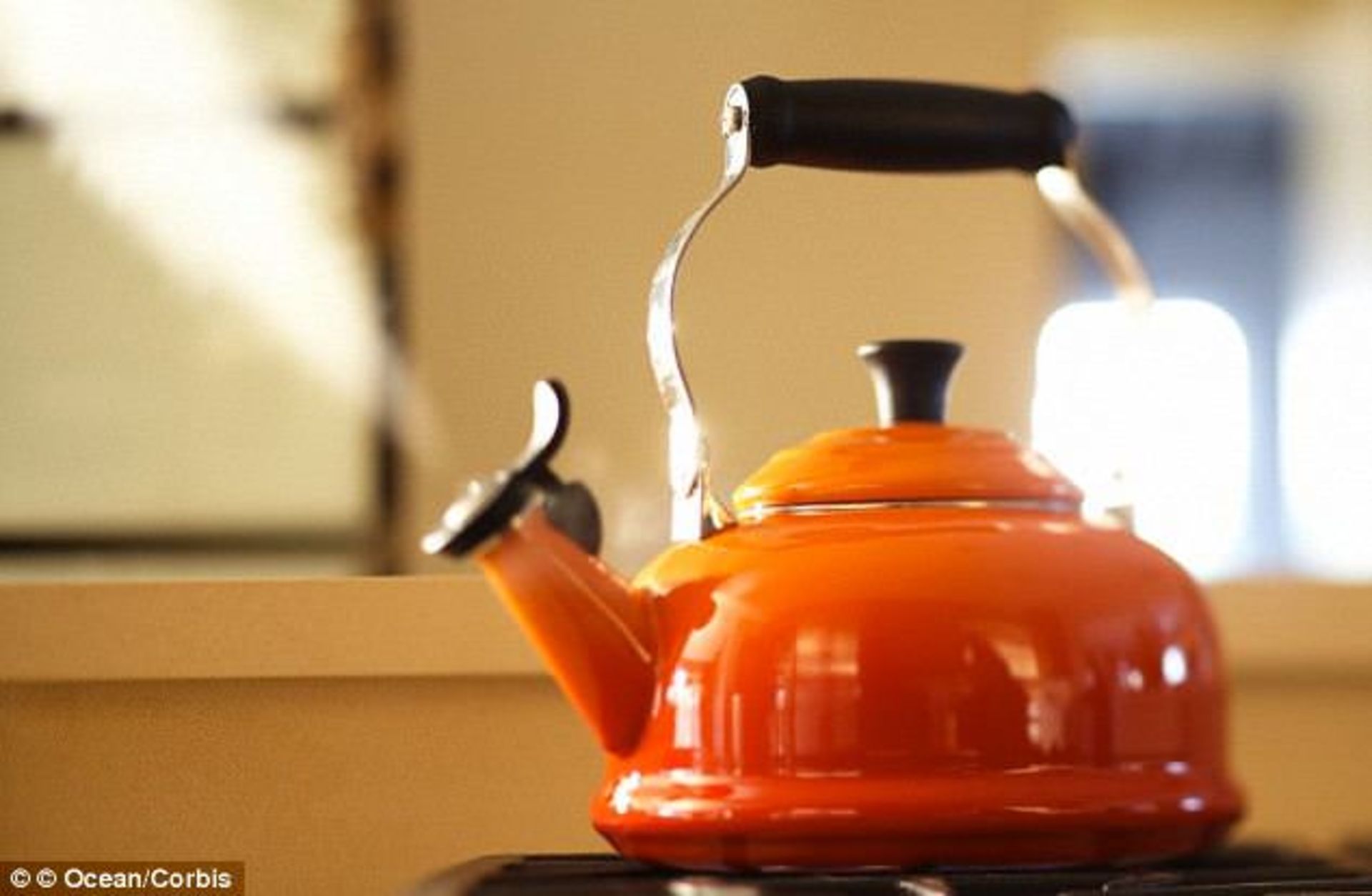 علت سوت کشیدن کتری کشف شد