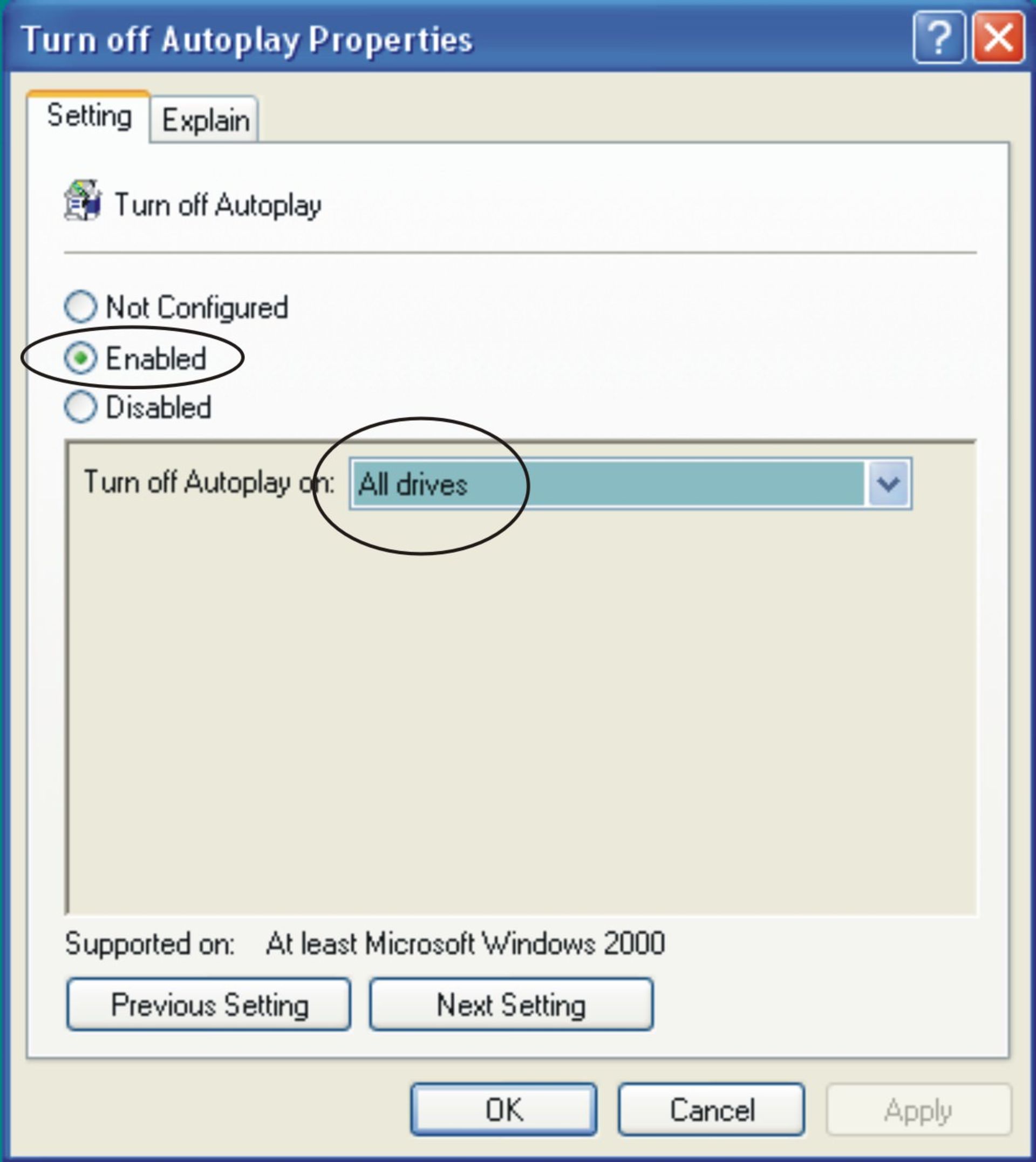 disable-autorun-option-2