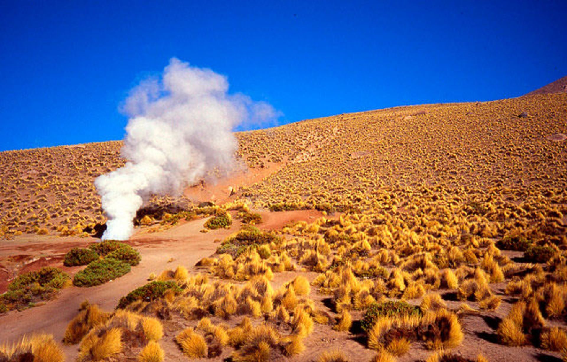 geysers-and-springs-4