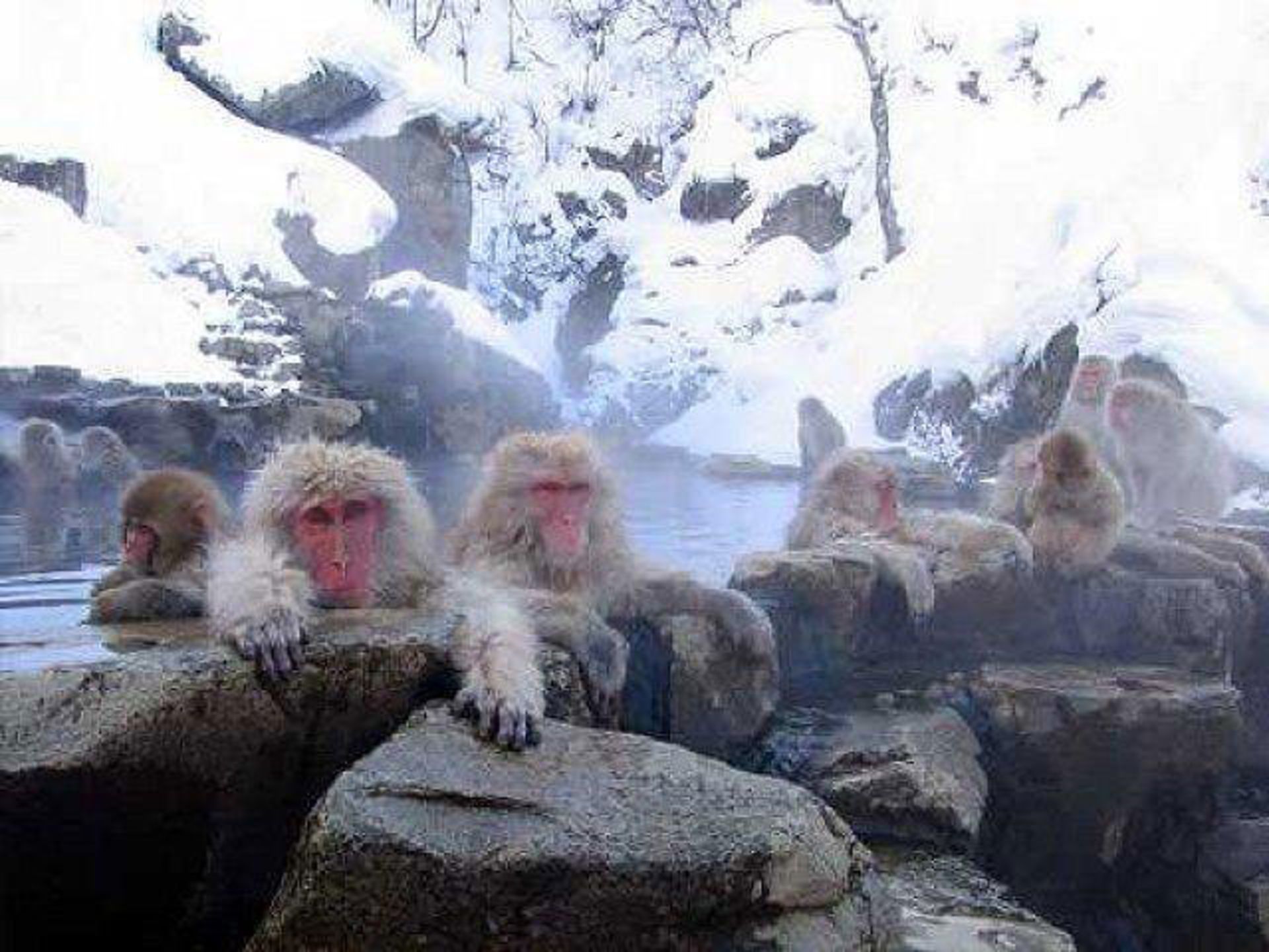 geysers-and-springs-9