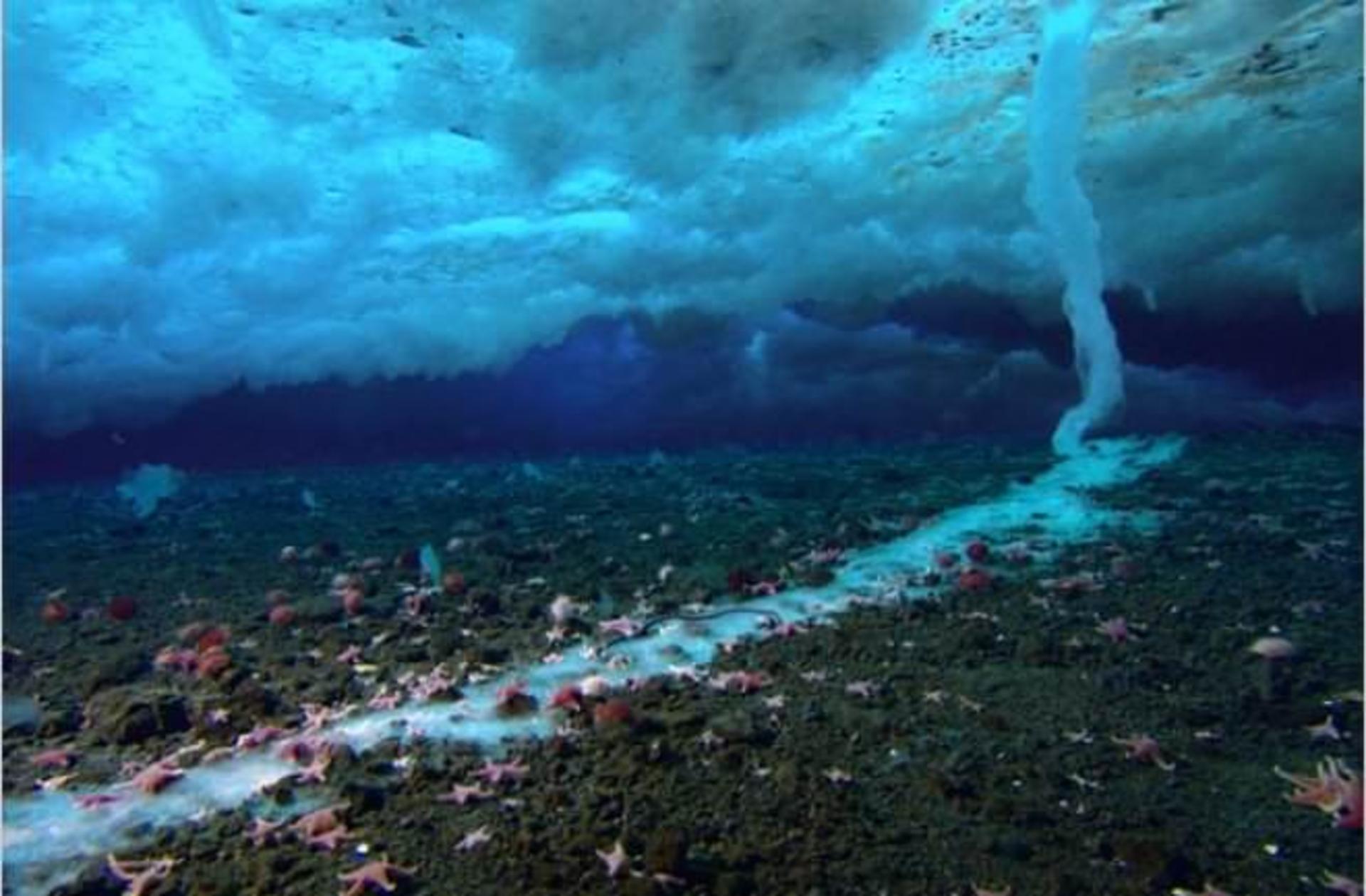 10 brinicles-ocean-phenomena