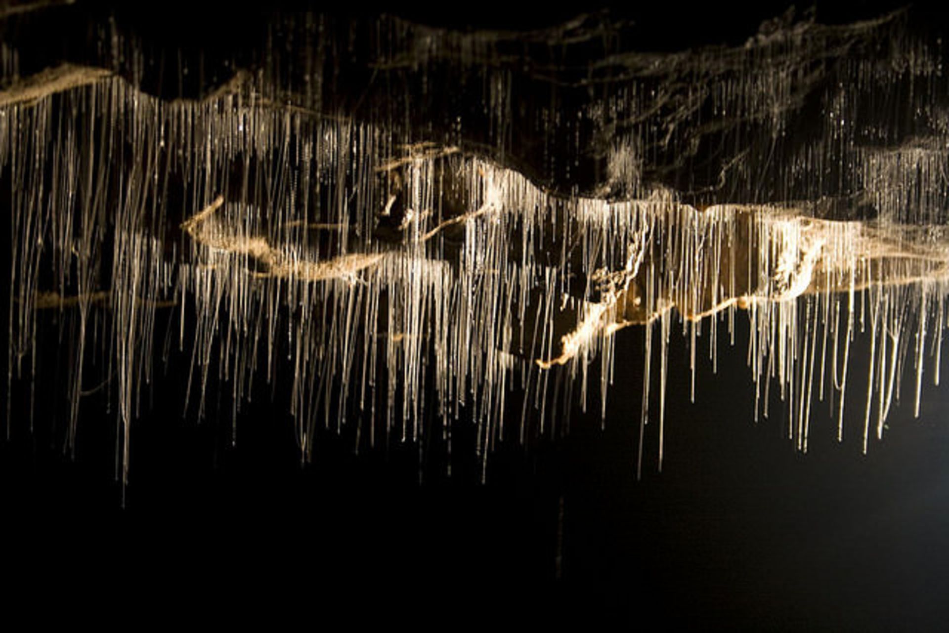 آشنایی با مشهورترین غارهای زیرزمینی دنیا