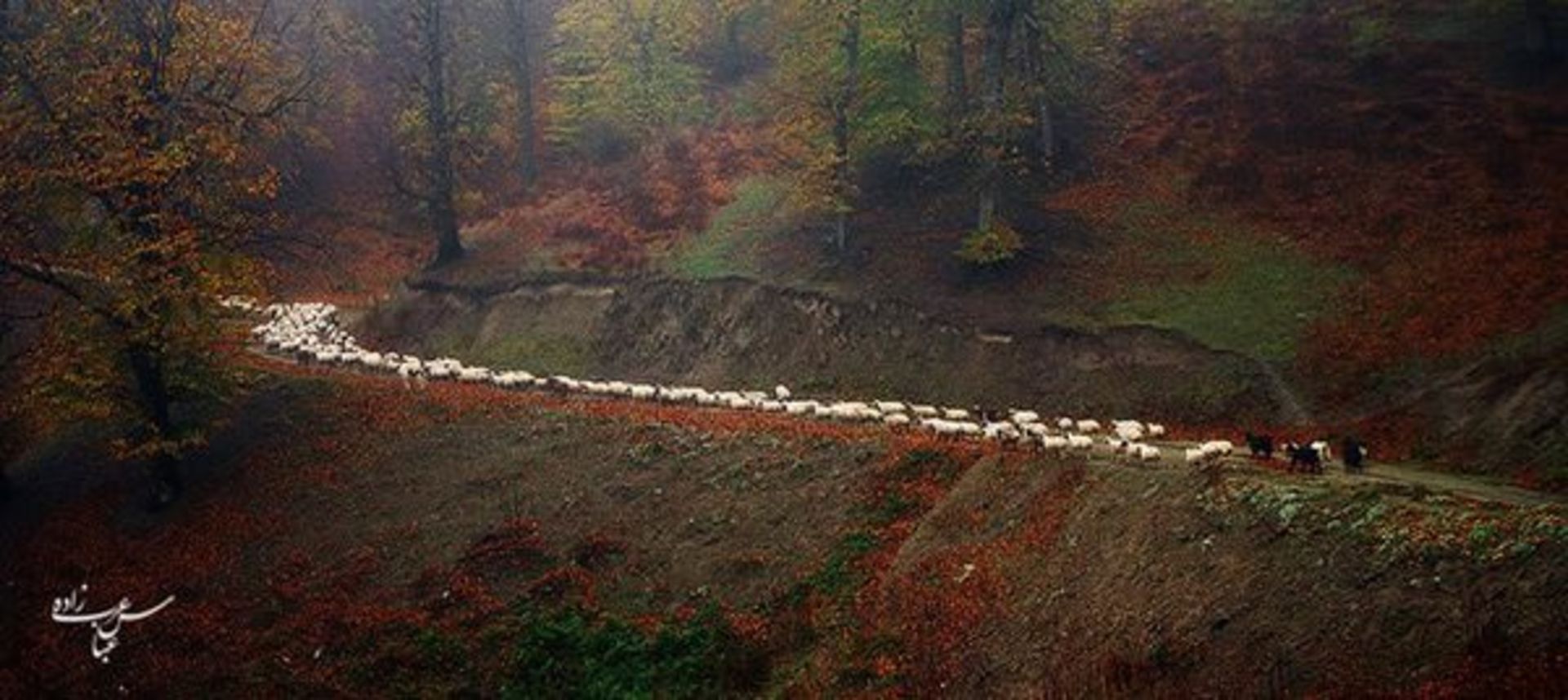 بررسی تلفن هوشمند Xperia M2 Aqua سونی