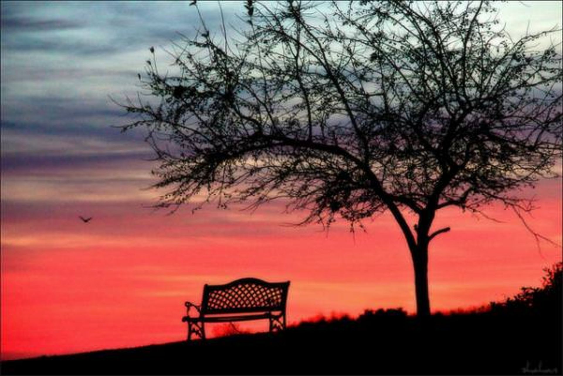 تنهاترین نیمکت‌های دنیا