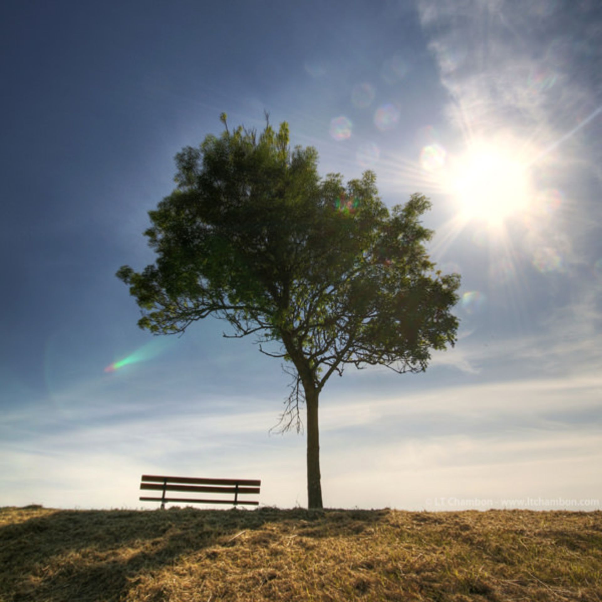 تنهاترین نیمکت‌های دنیا