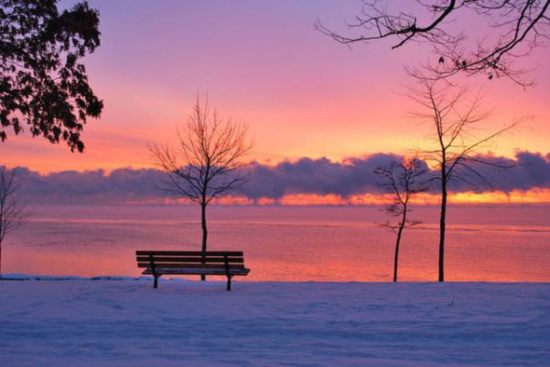 تنهاترین نیمکت‌های دنیا