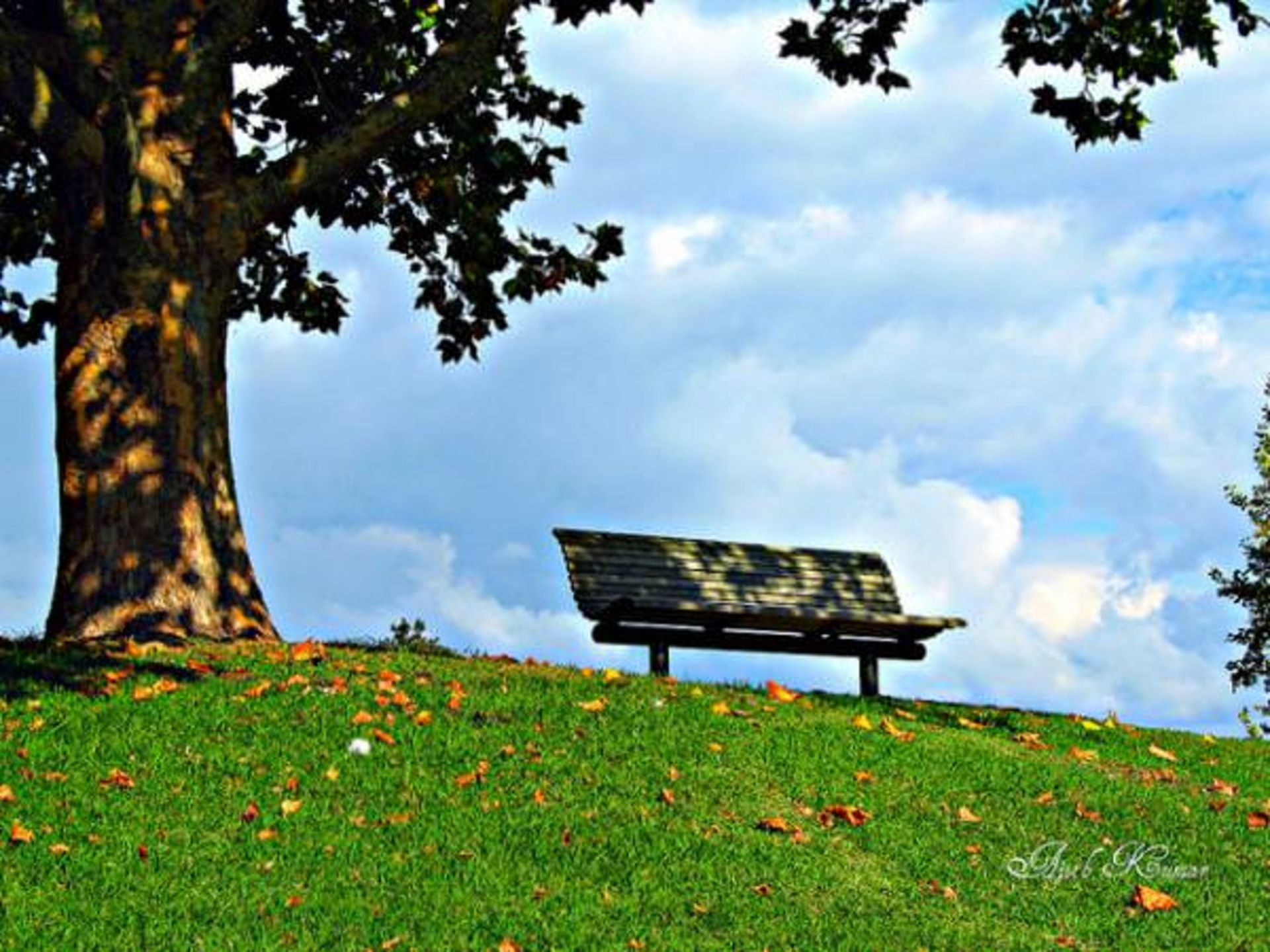 تنهاترین نیمکت‌های دنیا