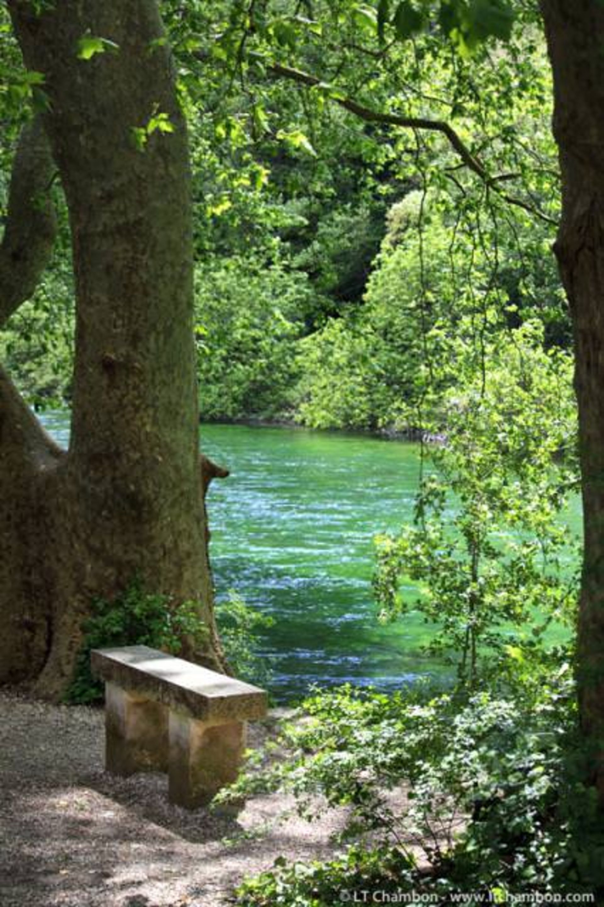 بررسی تلفن هوشمند Xperia M2 Aqua سونی