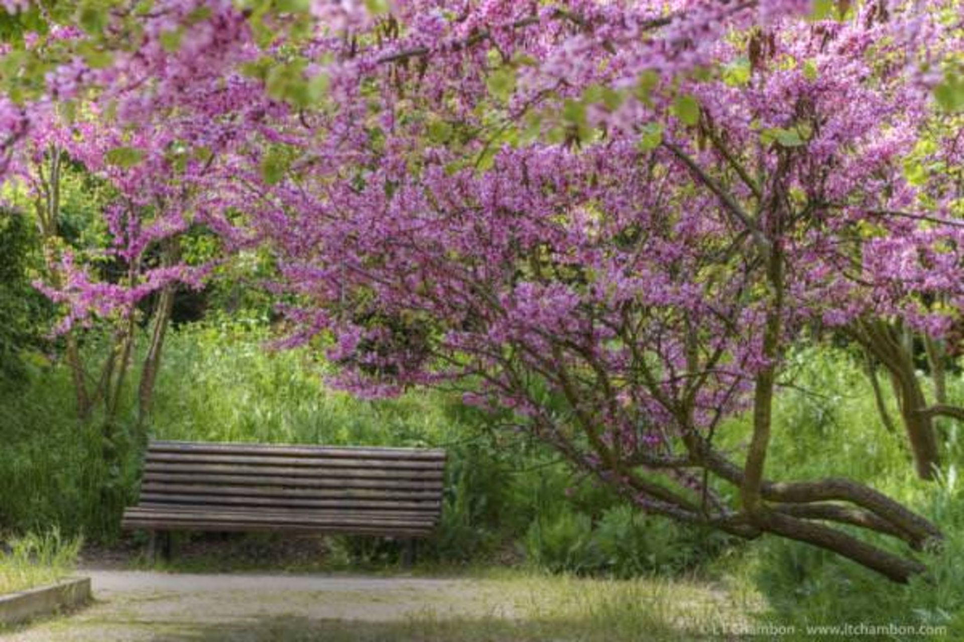 بررسی تلفن هوشمند Xperia M2 Aqua سونی