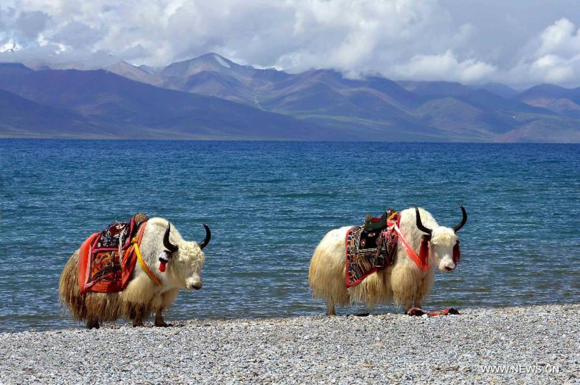 tibet-most-relaxing-places-in-the-world