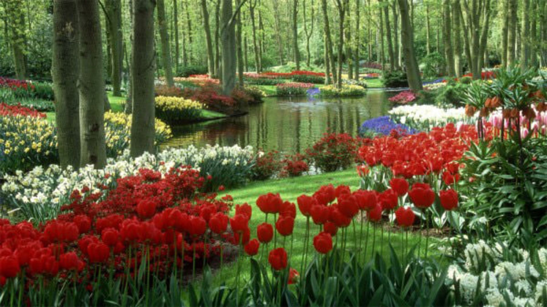parks-3