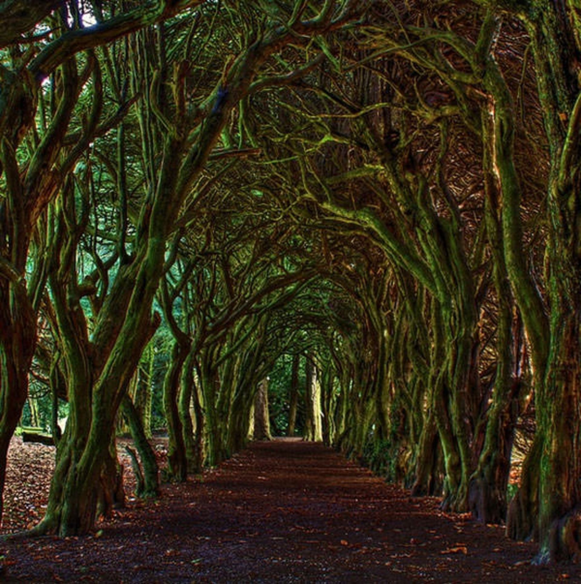 Meath2