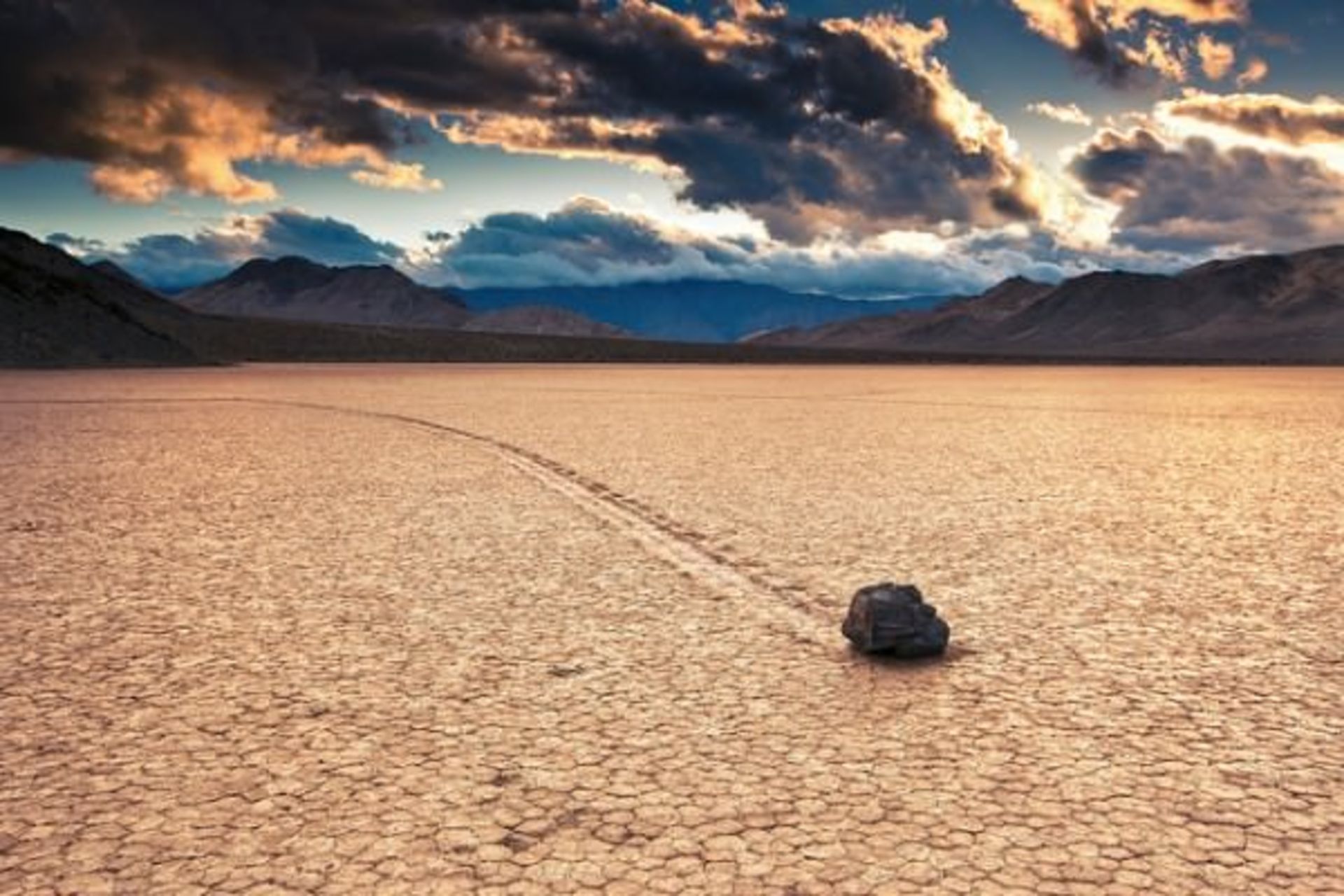 andy-kenelly-600x400