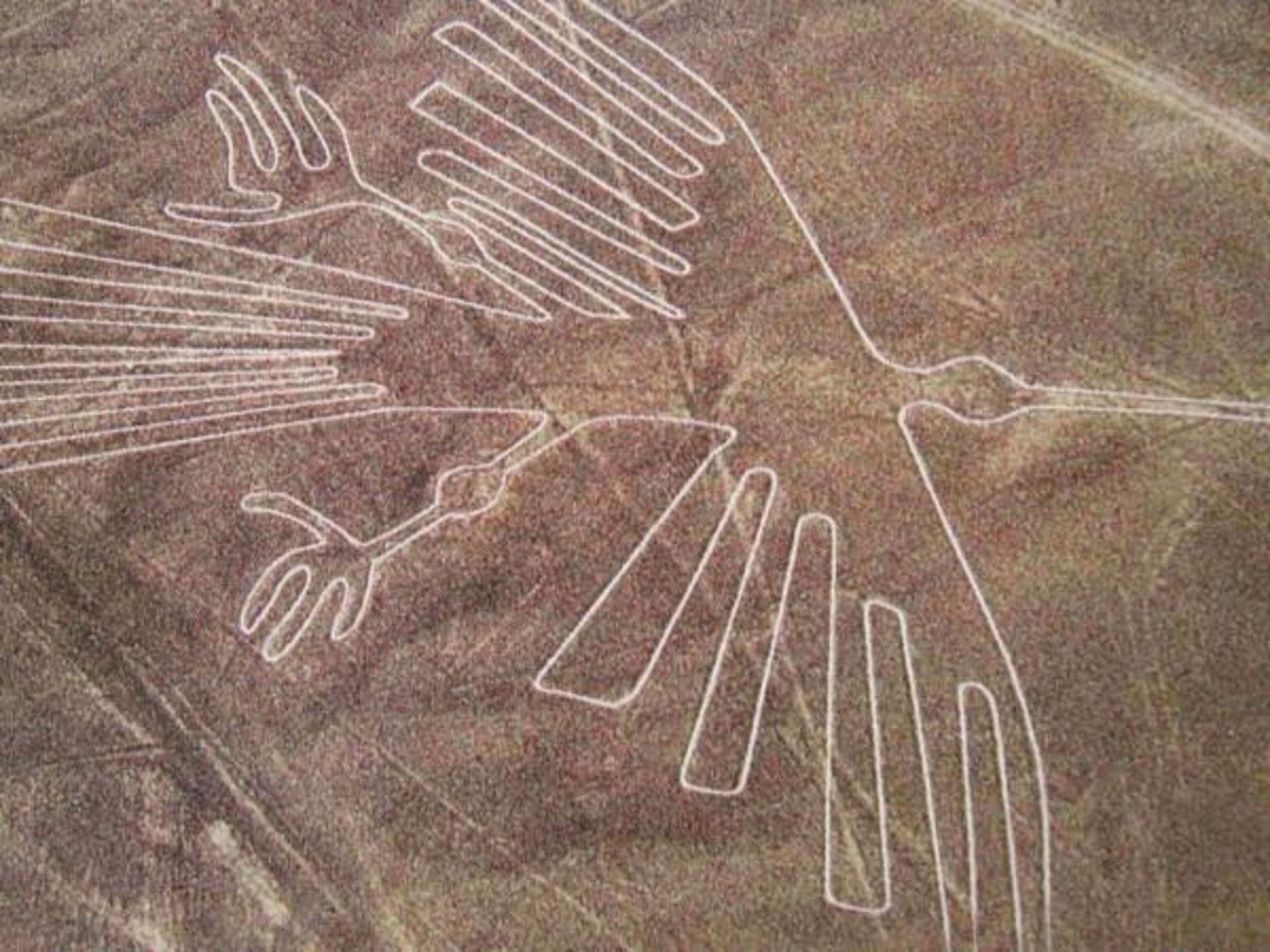 nazca-600x450