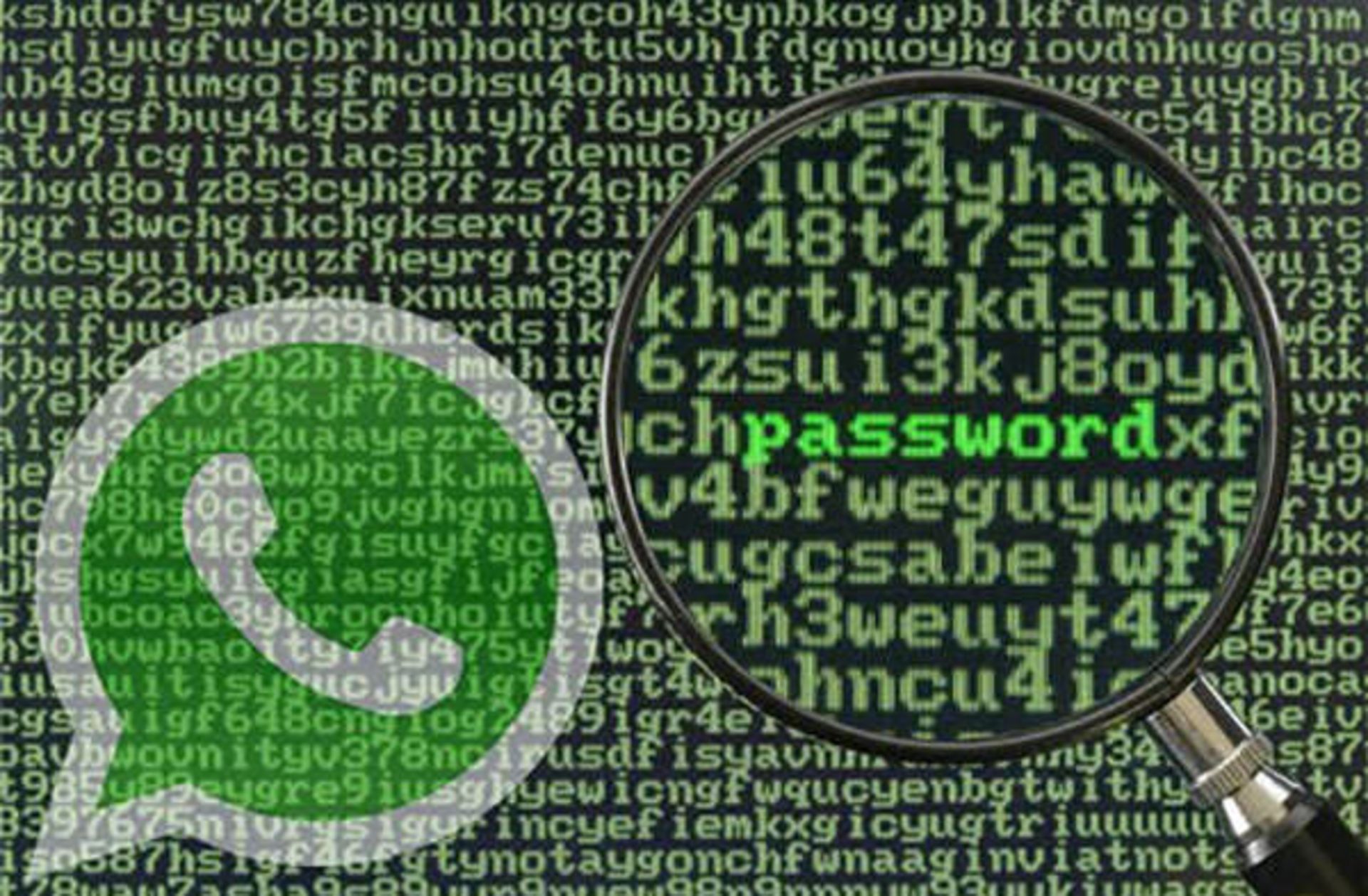 whatsapp spy app