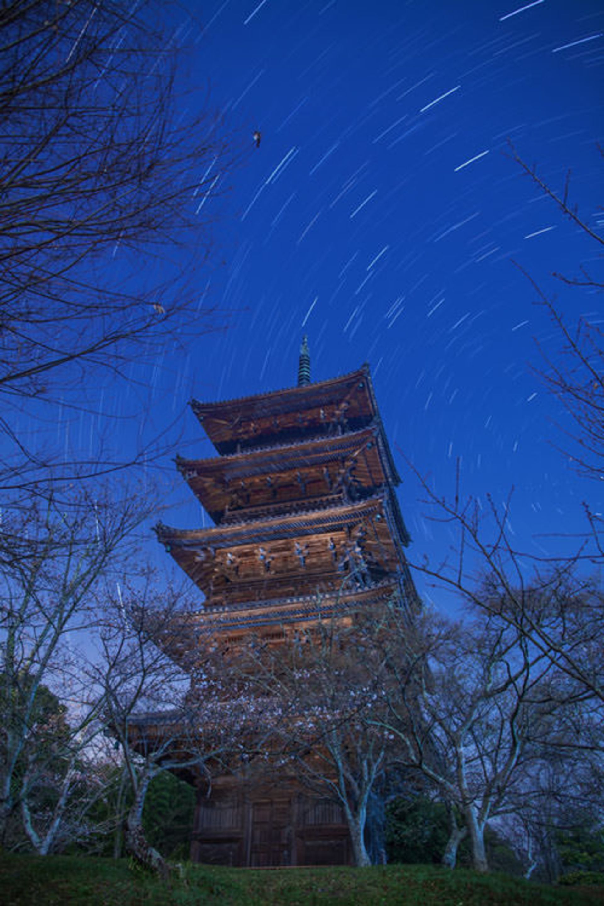 star trails-16