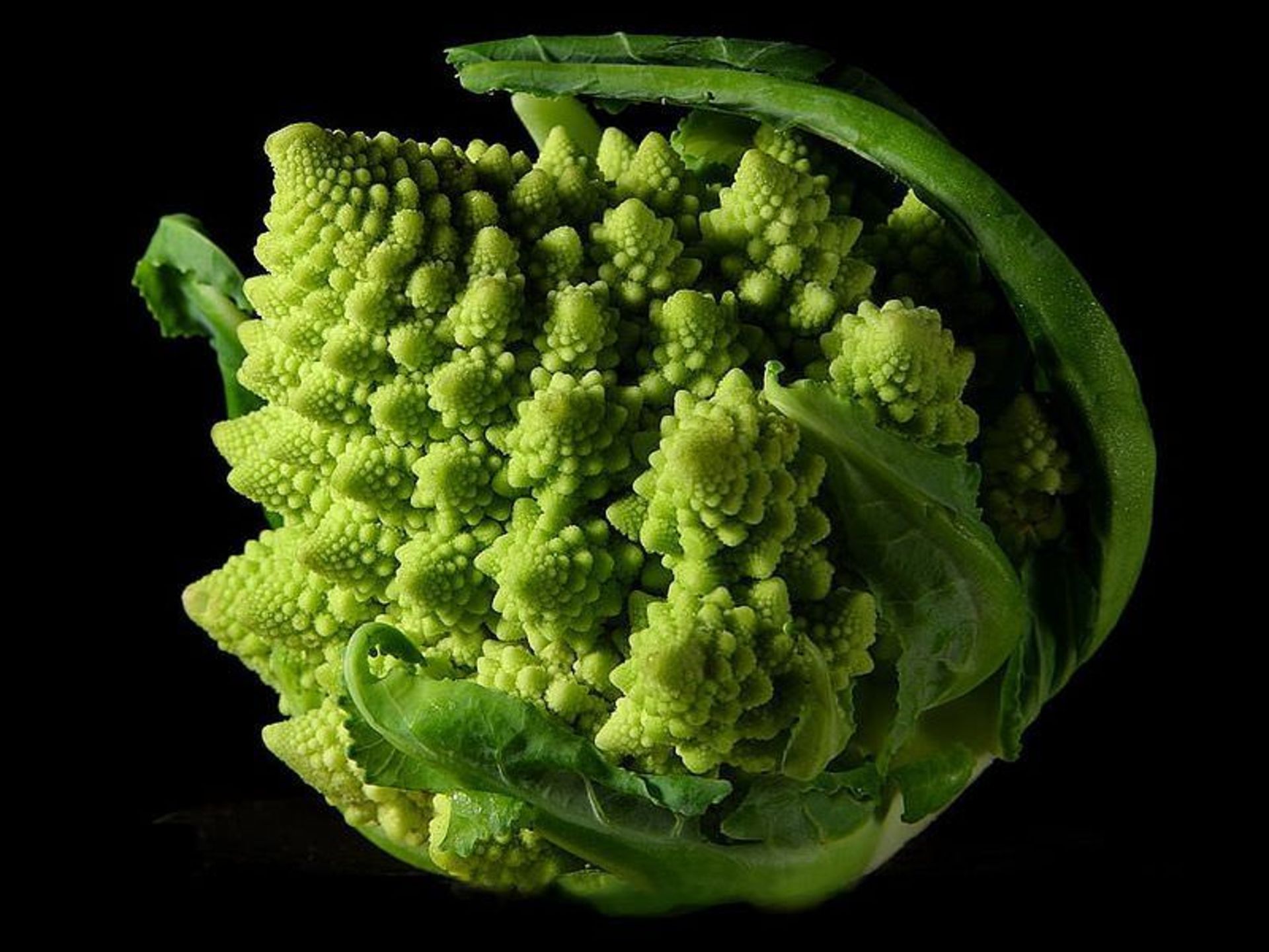 Romanesco-broccoli4