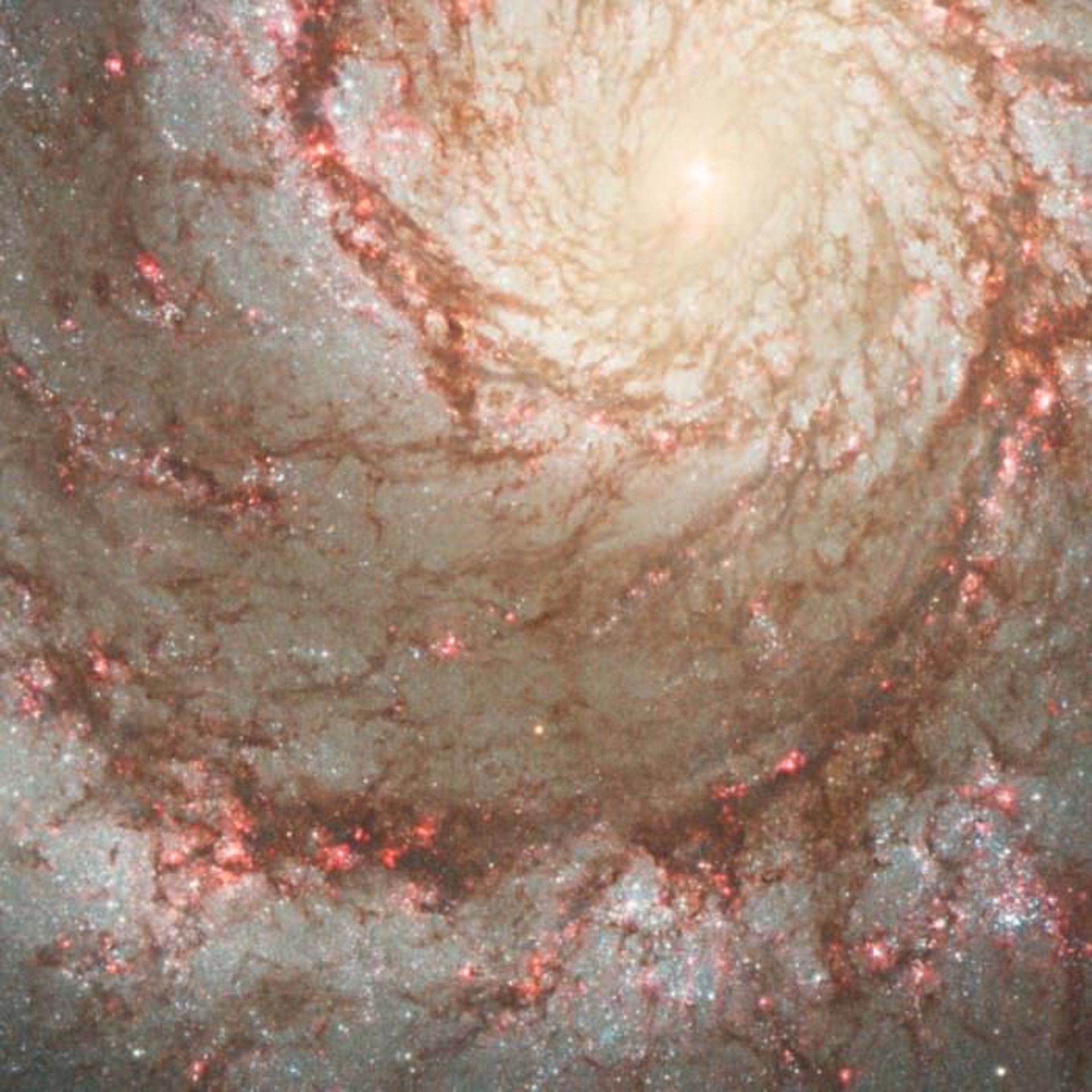 hubble-best-photos-progenitor-star-m51
