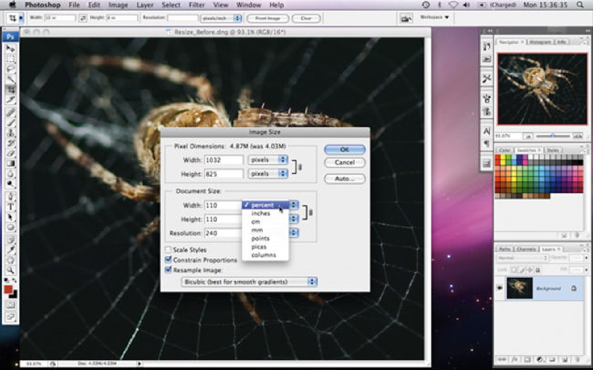 photolessons11