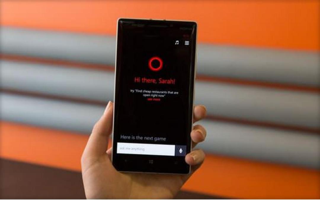 wp1