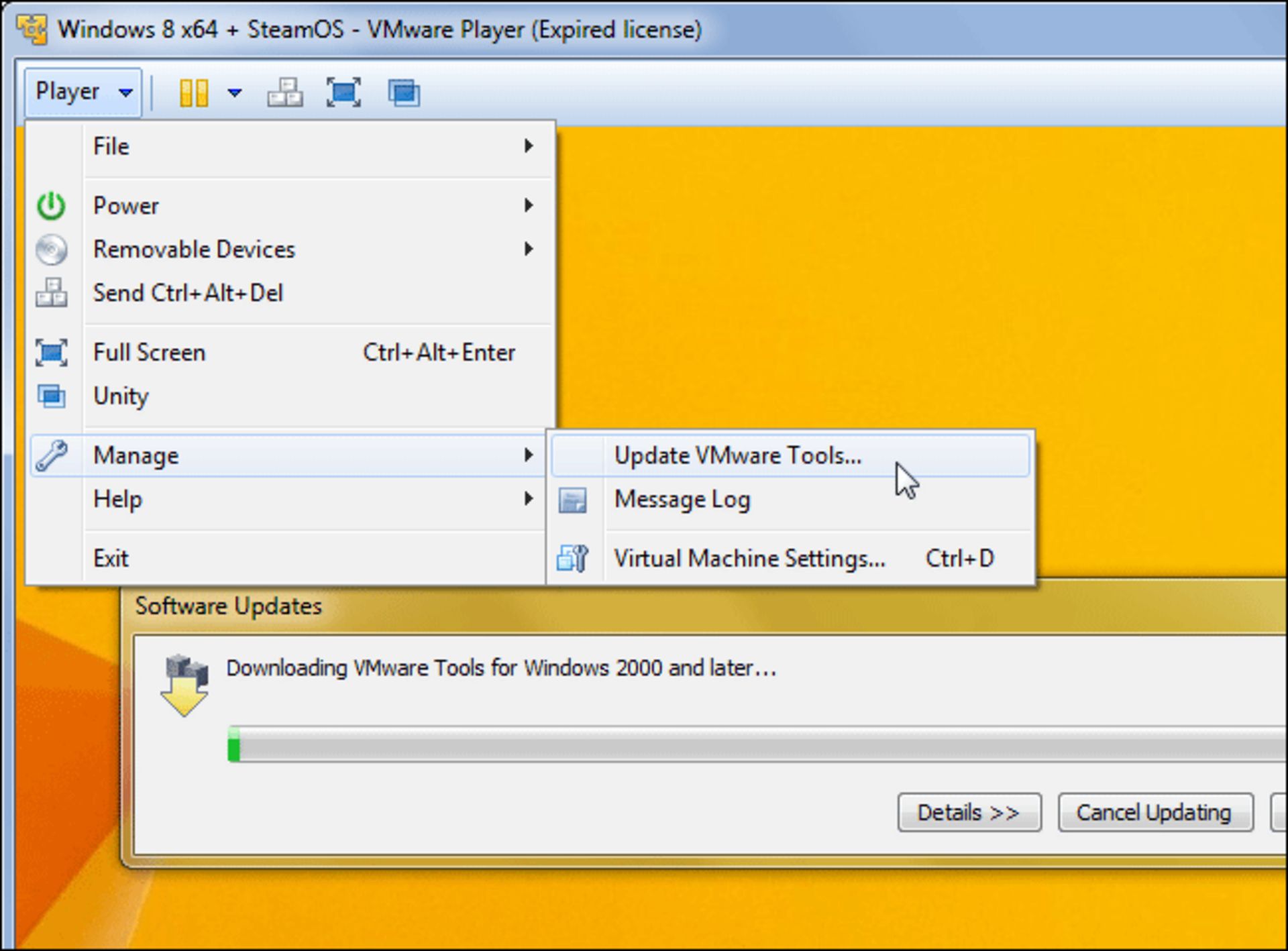 vmware-player-install-vmware-tools