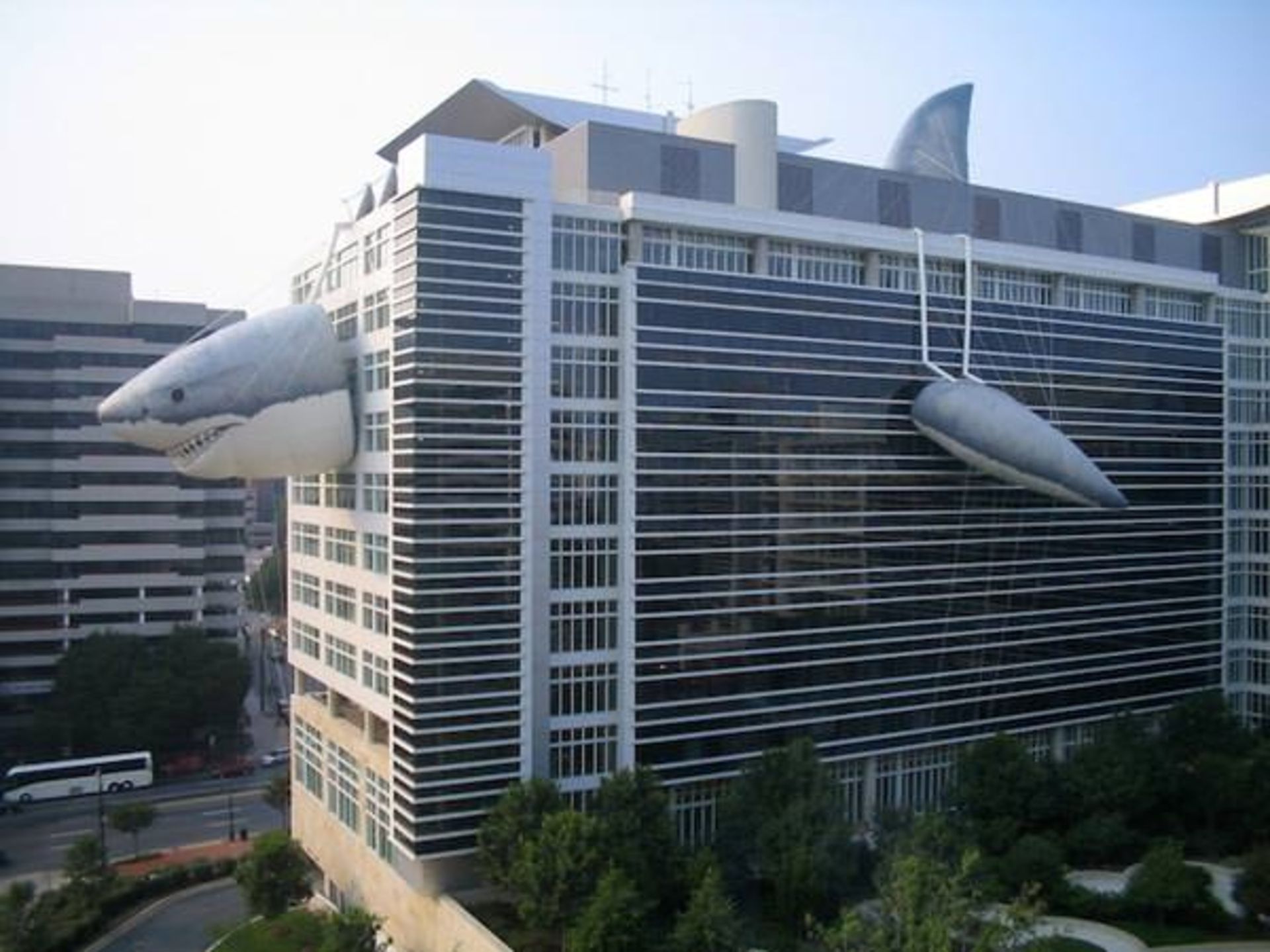 Discovery-Channel-Shark