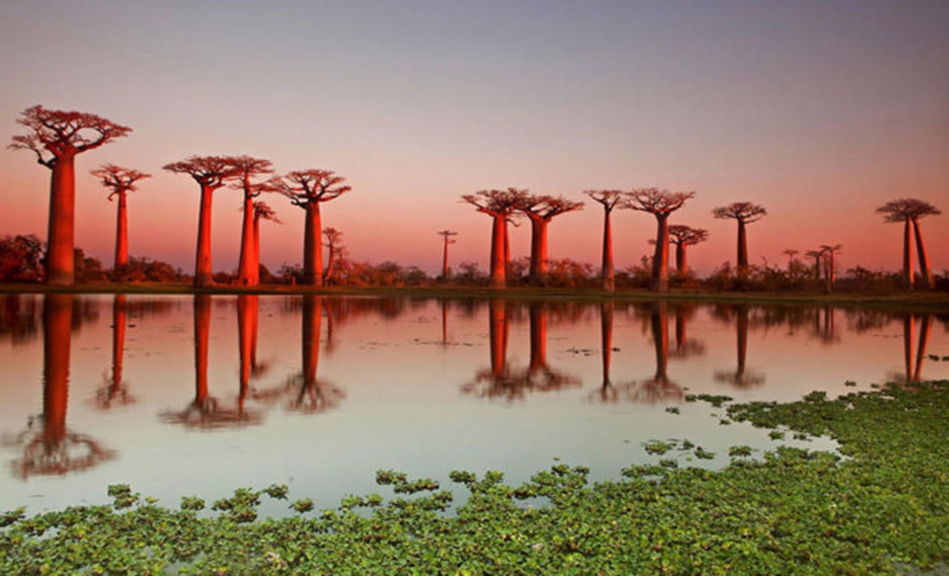 Top-10-Streets-Baobab-Photo-by-Marcel-Staron-740x449