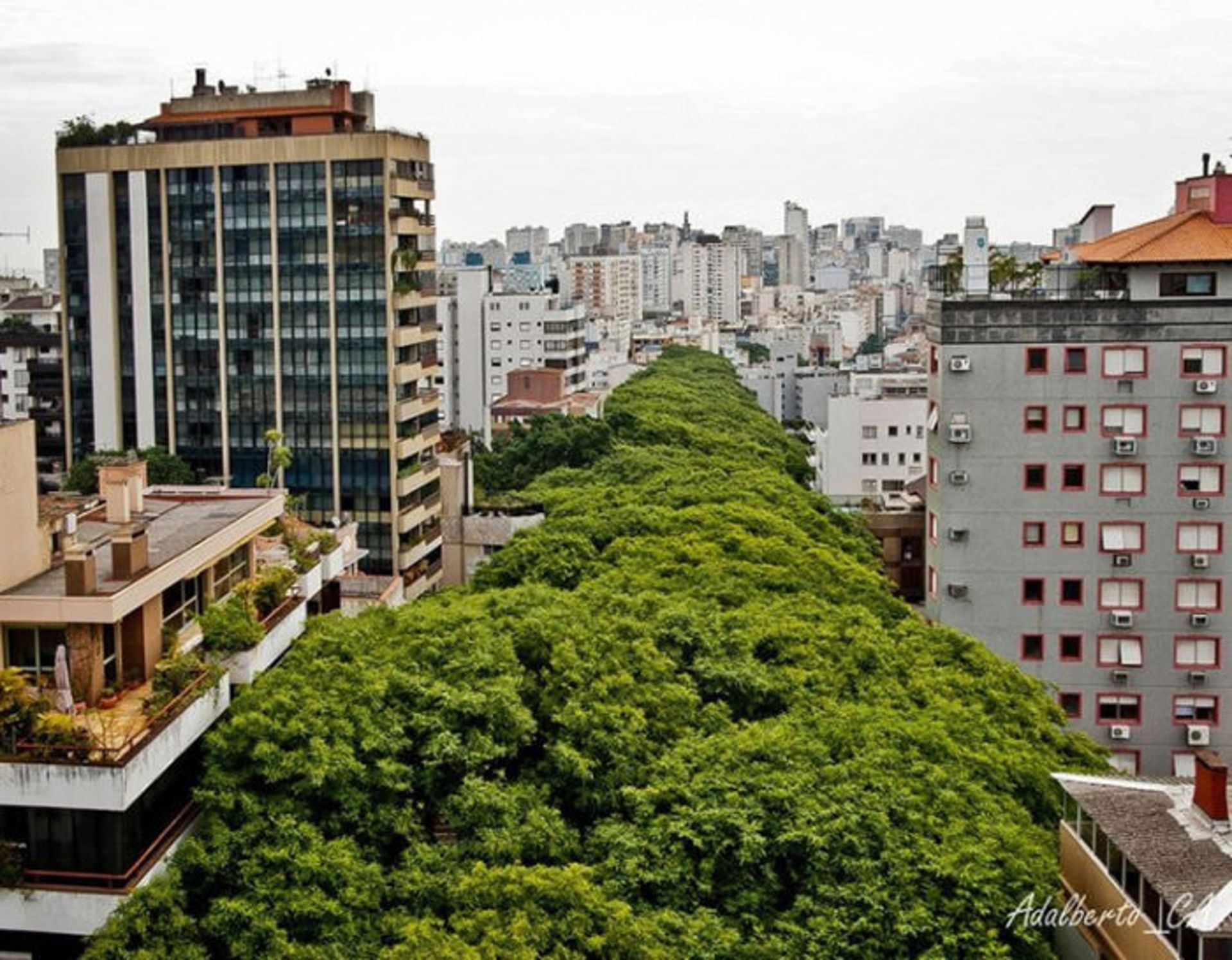 Top-10-Streets-Brazil-Photo-by-Adalberto-Cavalcanti-Adreani-740x576