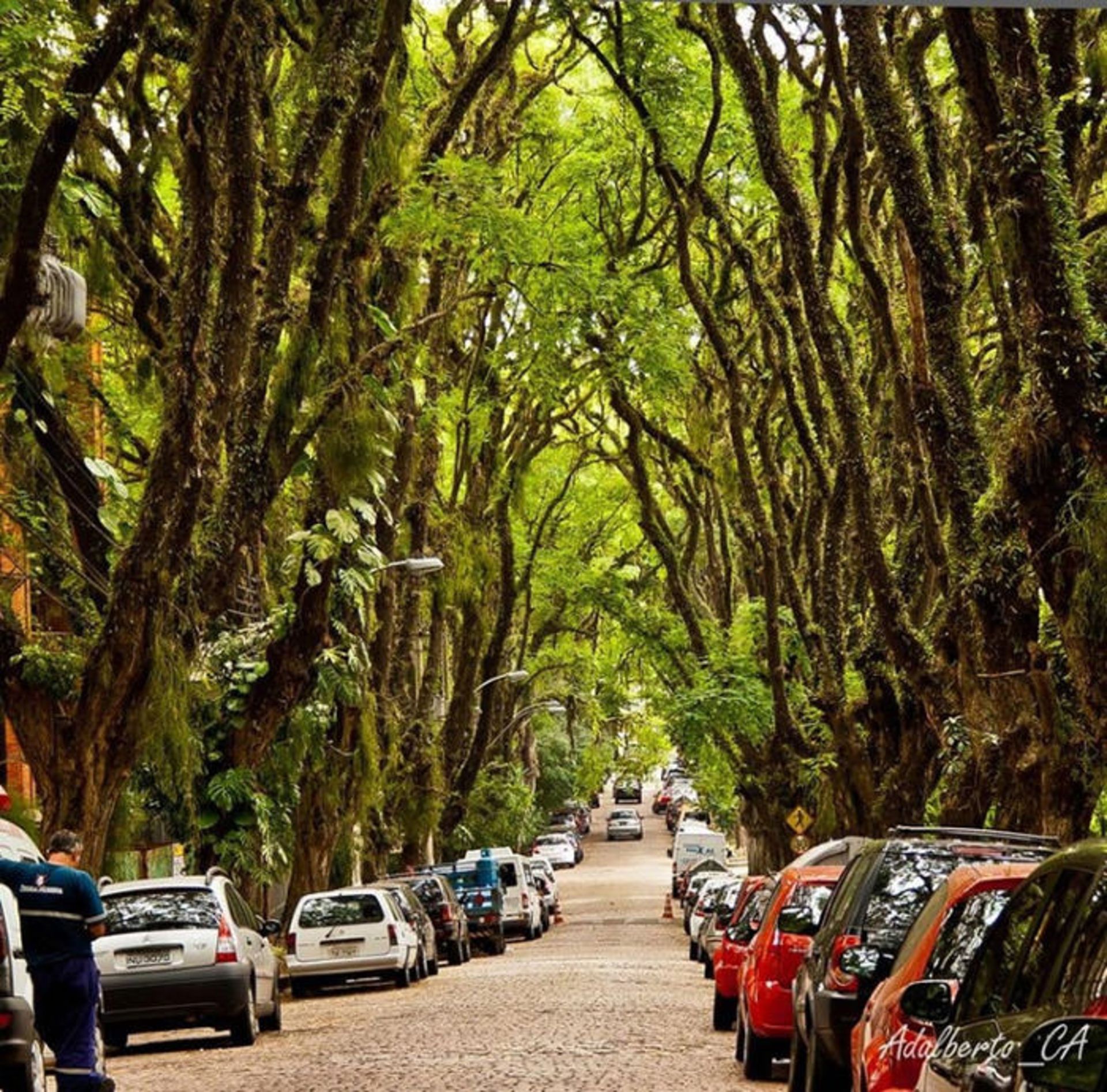 Top-10-Streets-Brazil-Photo-by-Adalberto-Cavalcanti-Adreani2-740x729