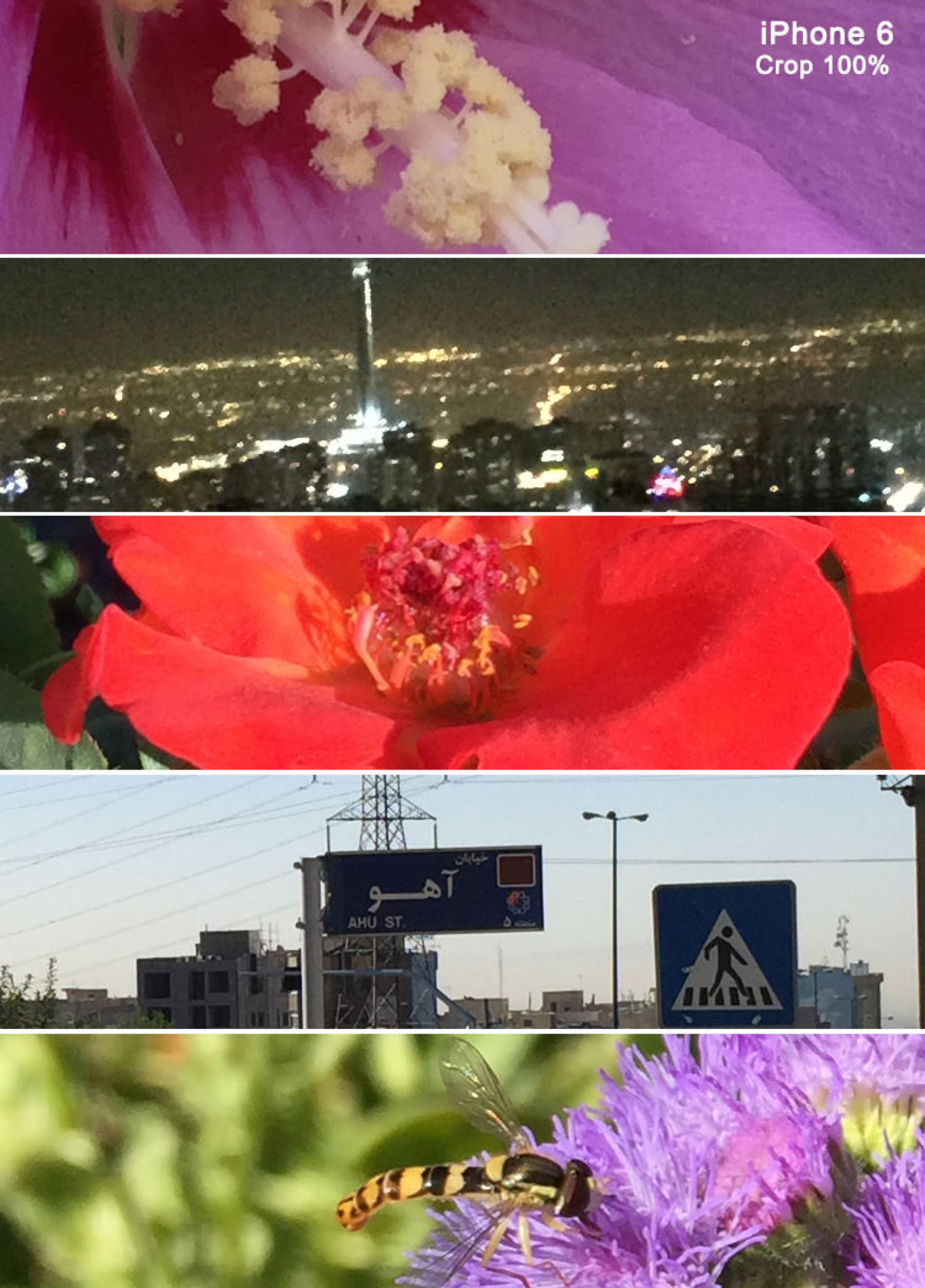 iphone6 crop100 zoomit.ir