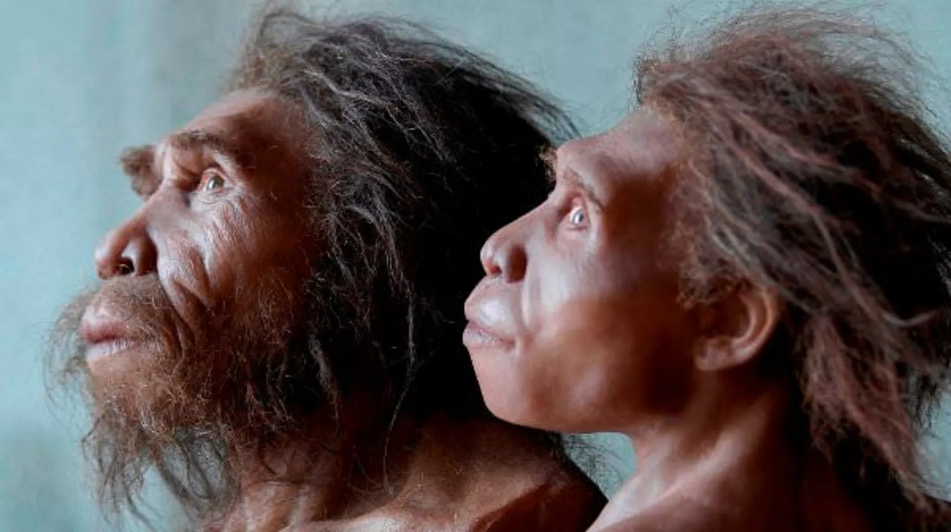 مرجع متخصصين ايران neanderthal