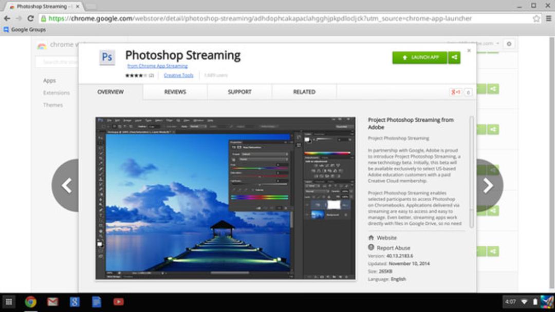 AdobeInt