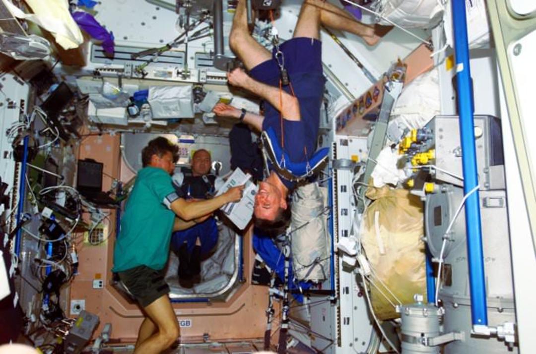 Foale ZeroG