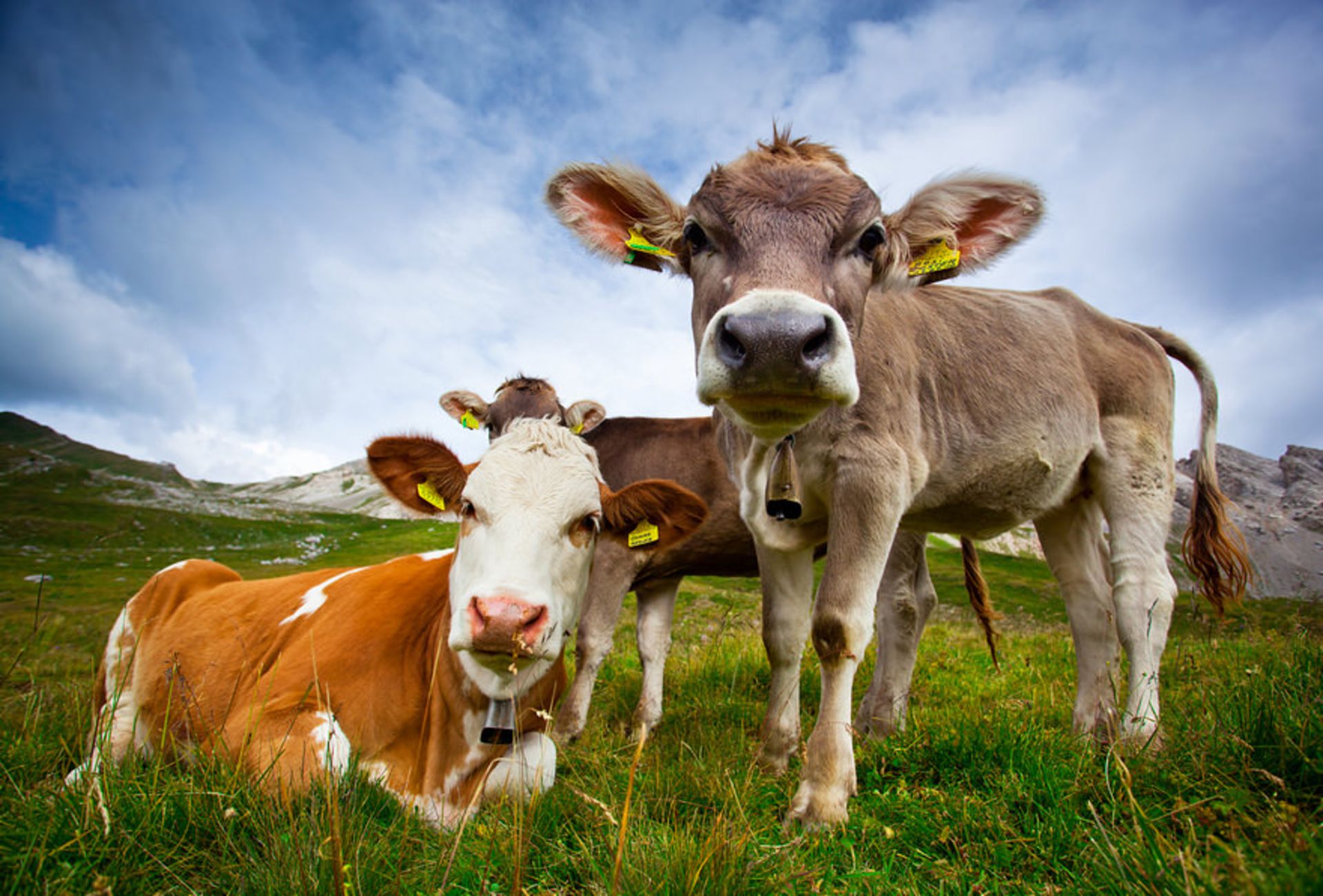 عکاسی از مناظر در سفر