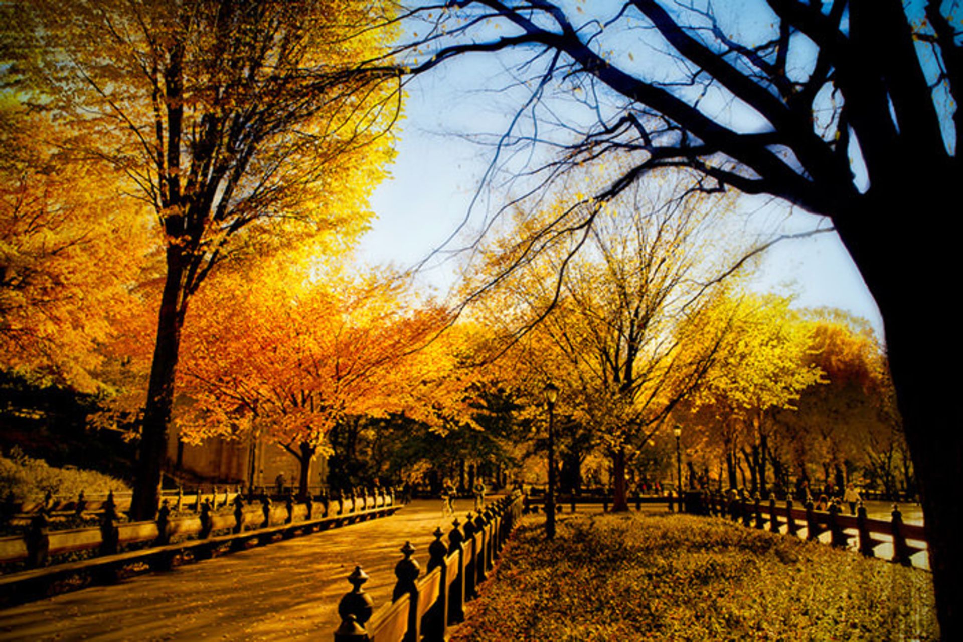 دیدنی‌های سنترال پارک نیویورک