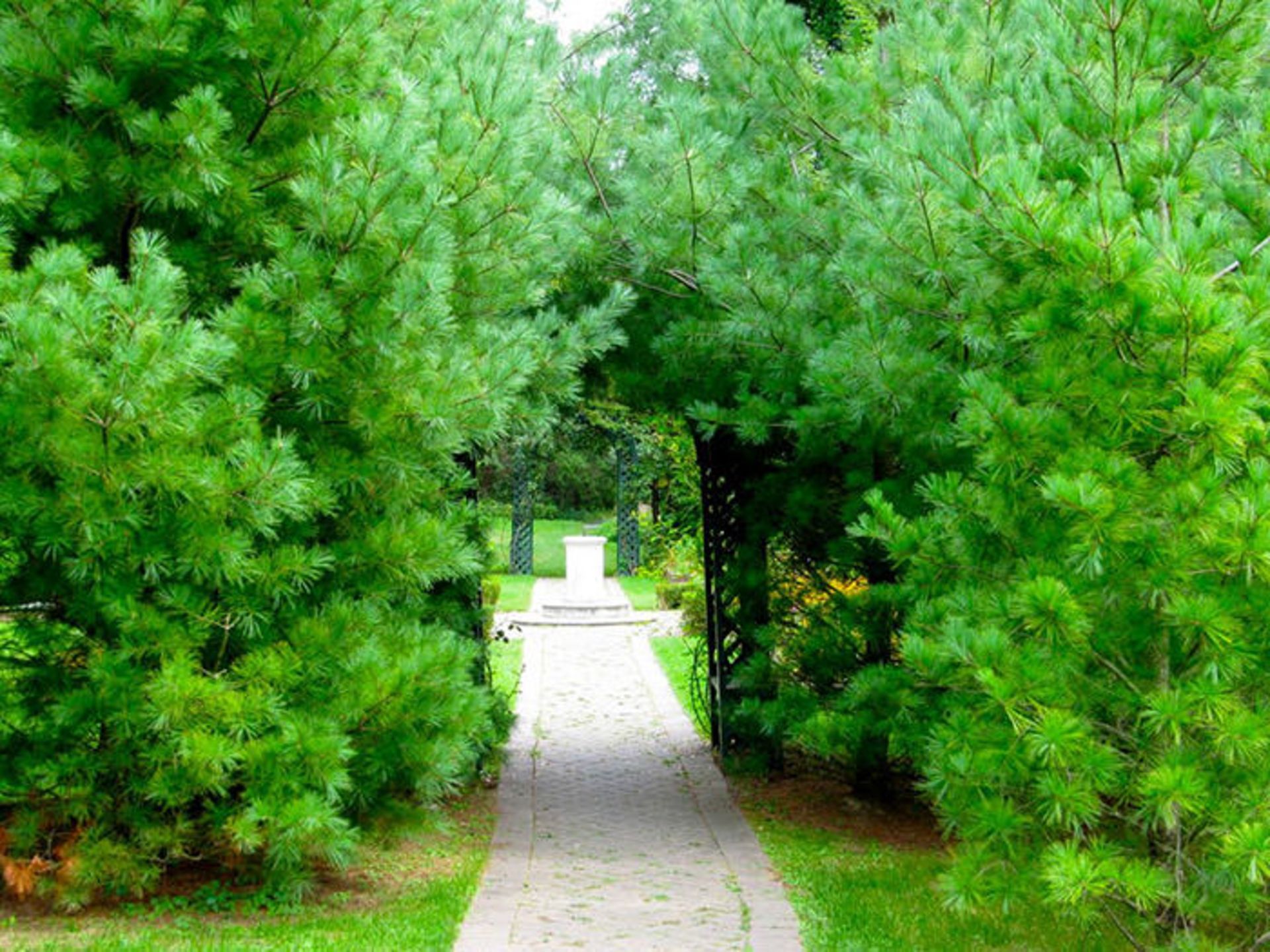 دیدنی‌های سنترال پارک نیویورک