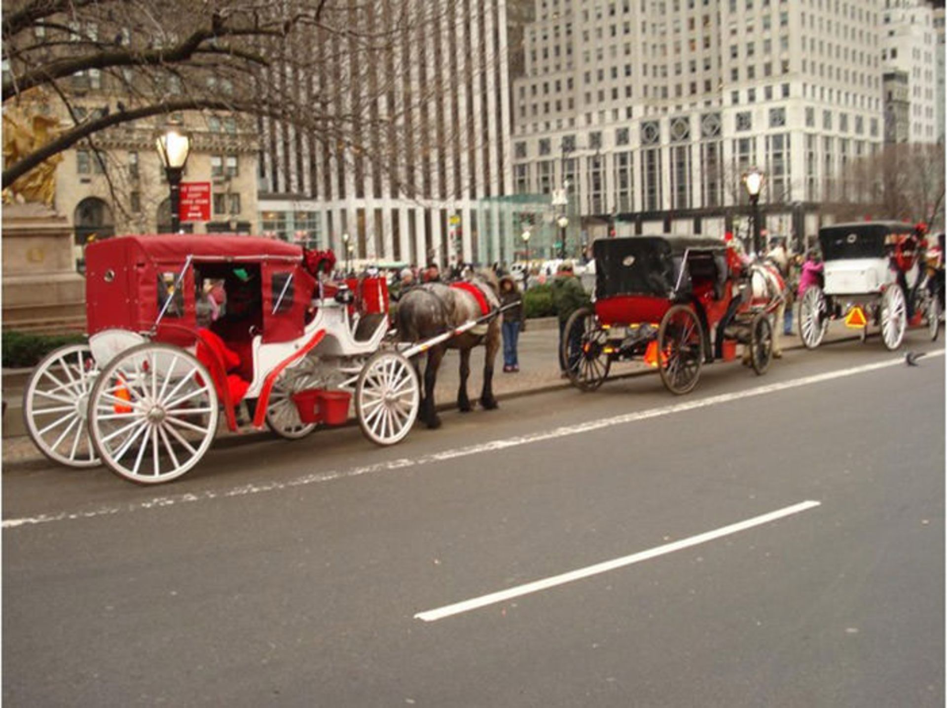 دیدنی‌های سنترال پارک نیویورک