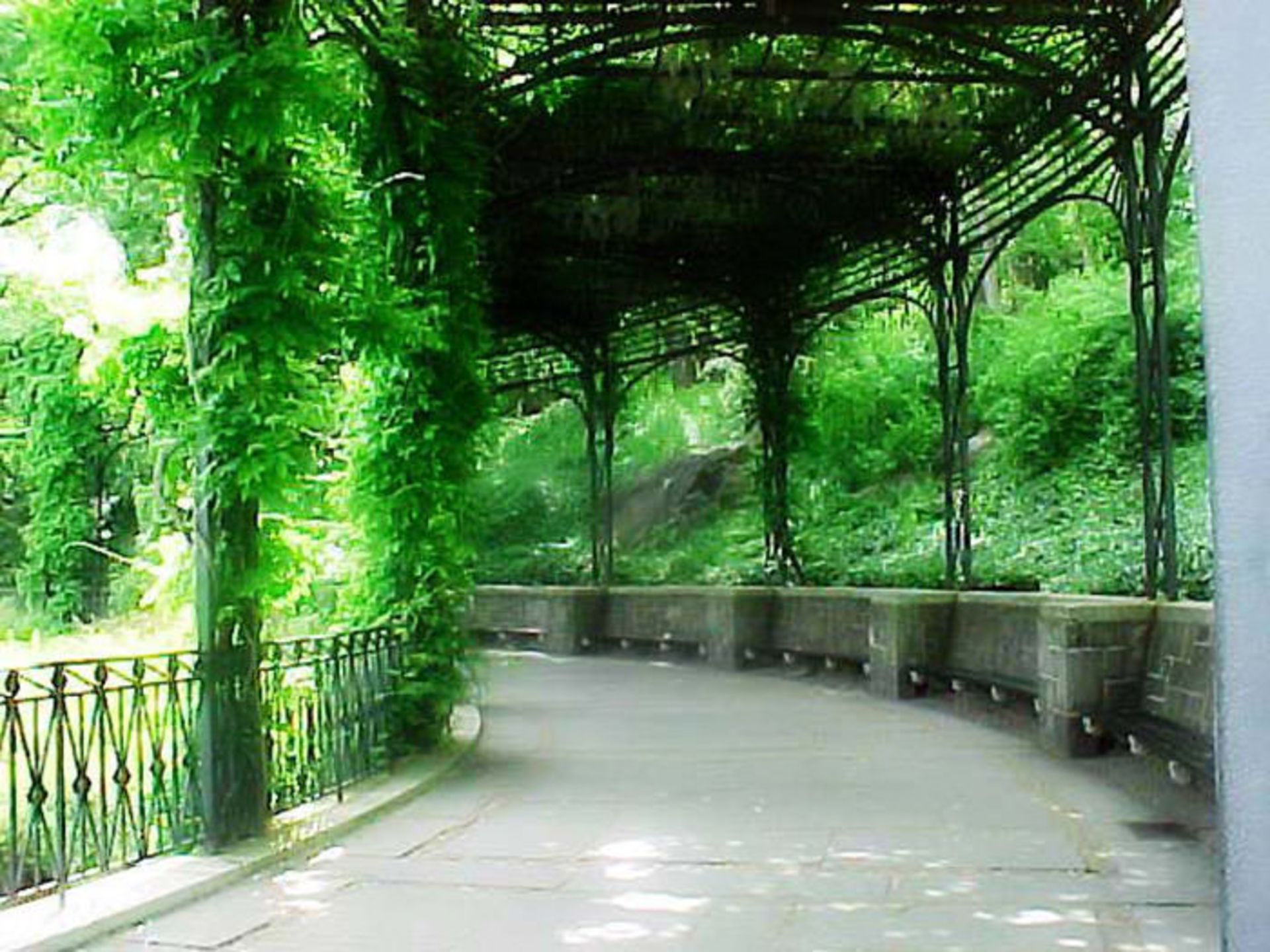 دیدنی‌های سنترال پارک نیویورک