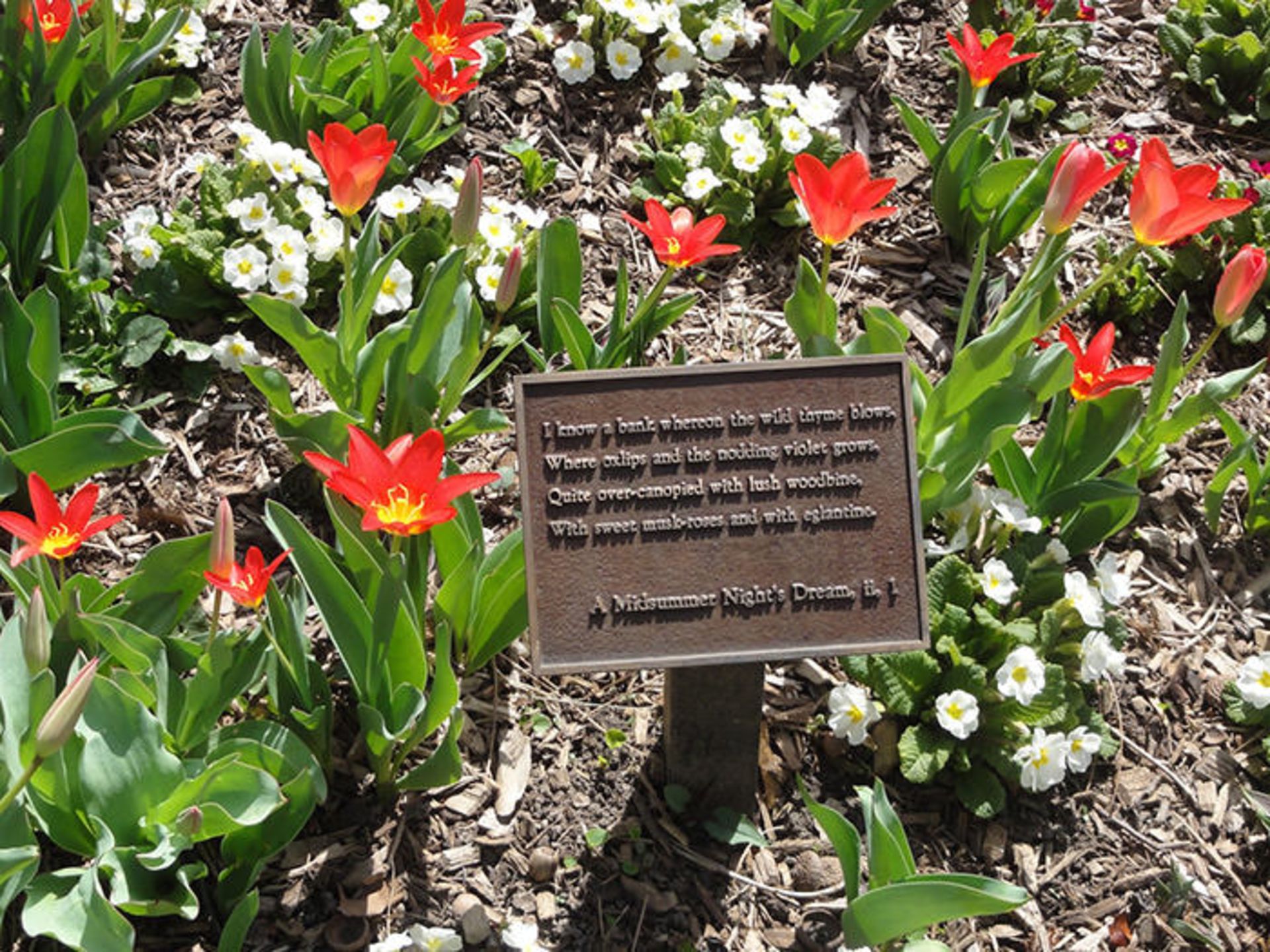 دیدنی‌های سنترال پارک نیویورک