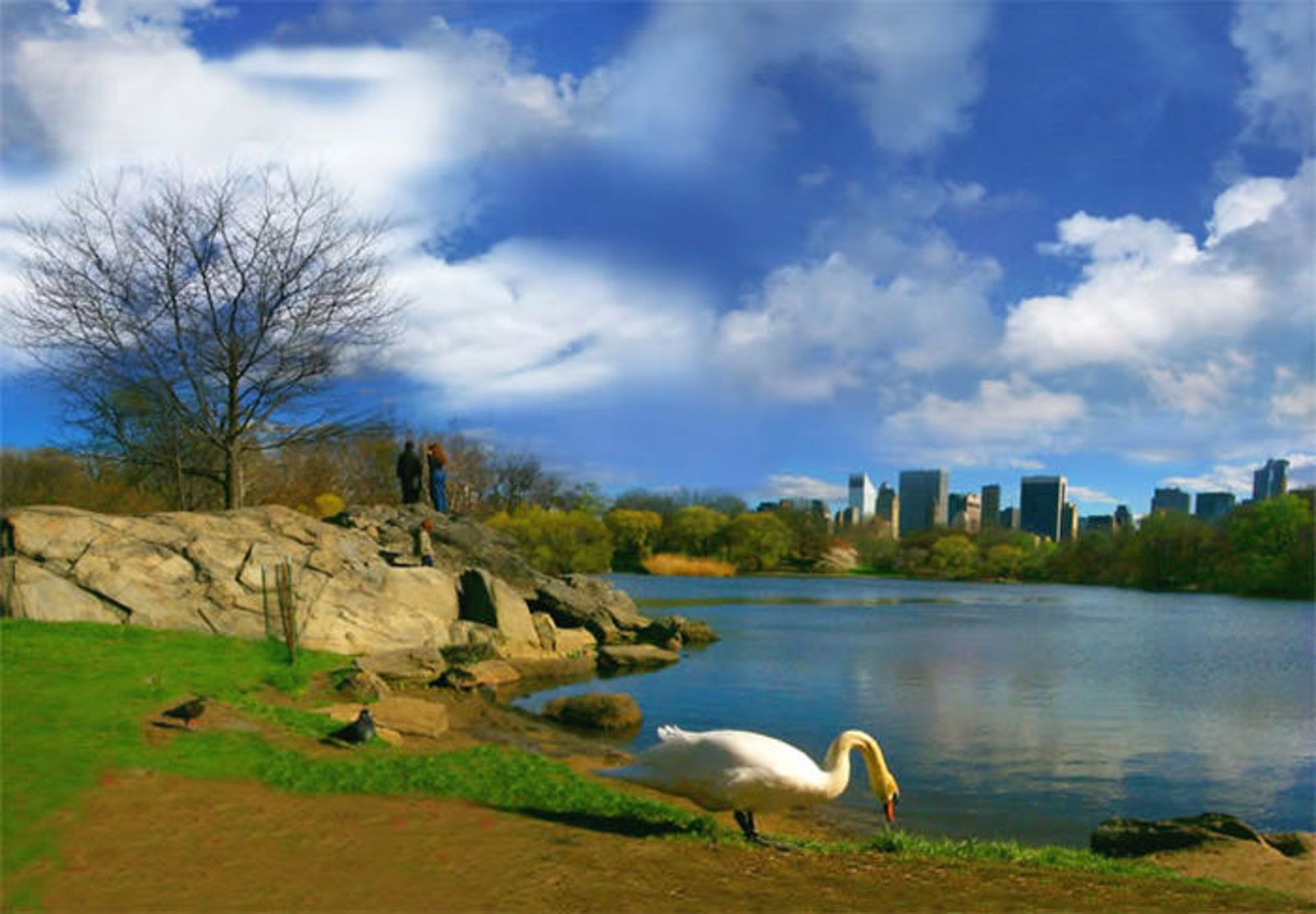 دیدنی‌های سنترال پارک نیویورک