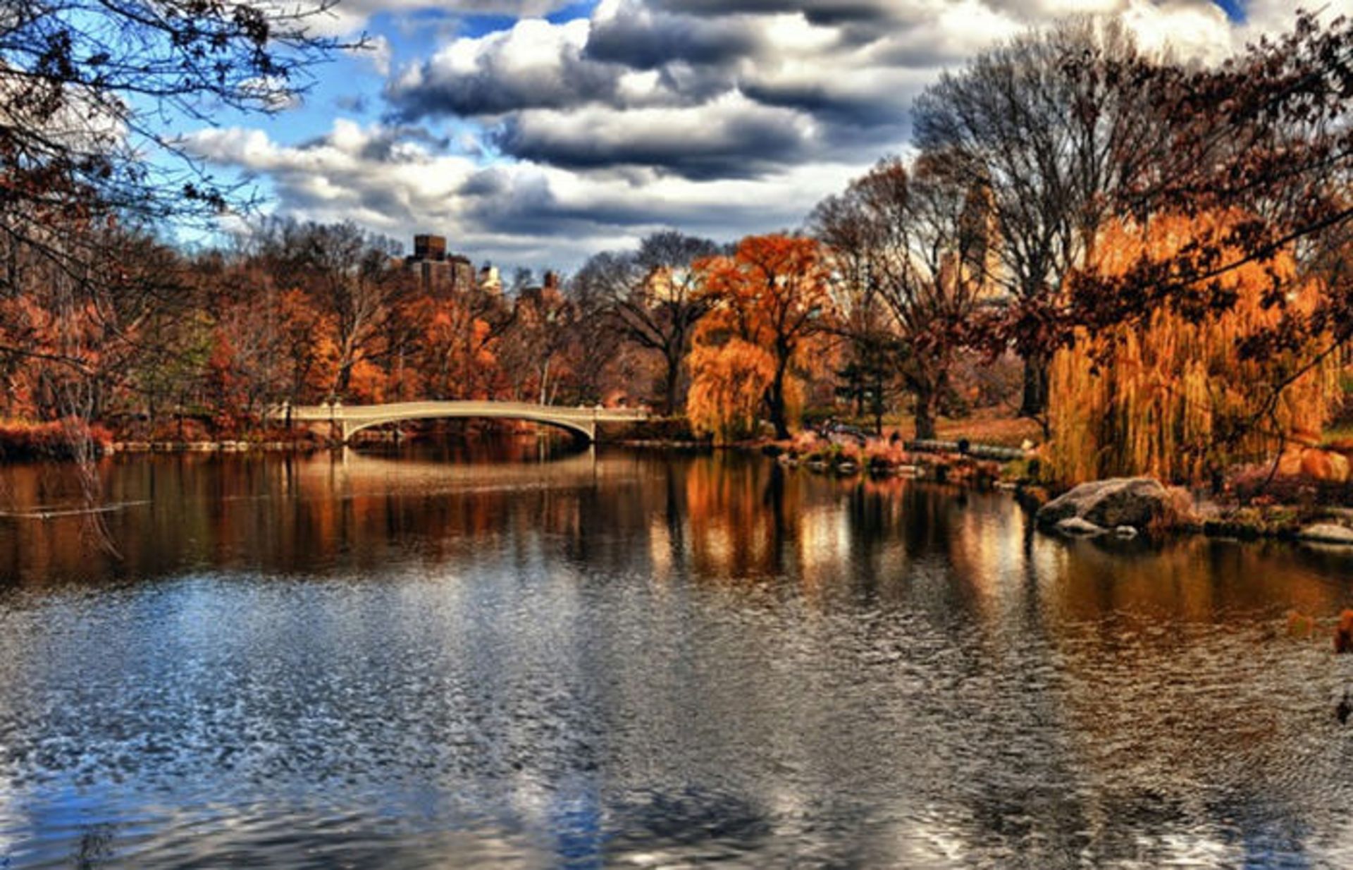 دیدنی‌های سنترال پارک نیویورک