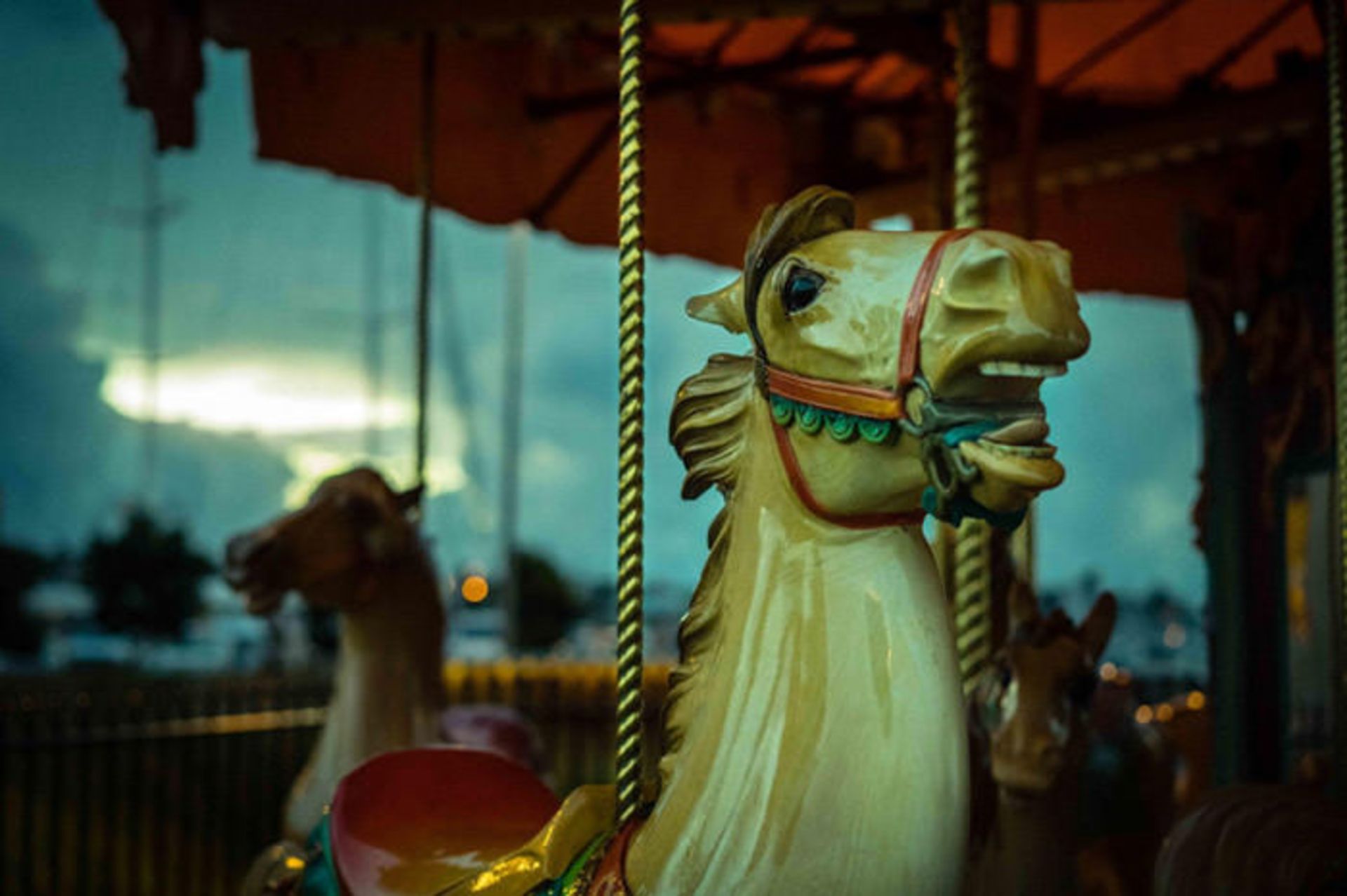 دیدنی‌های سنترال پارک نیویورک